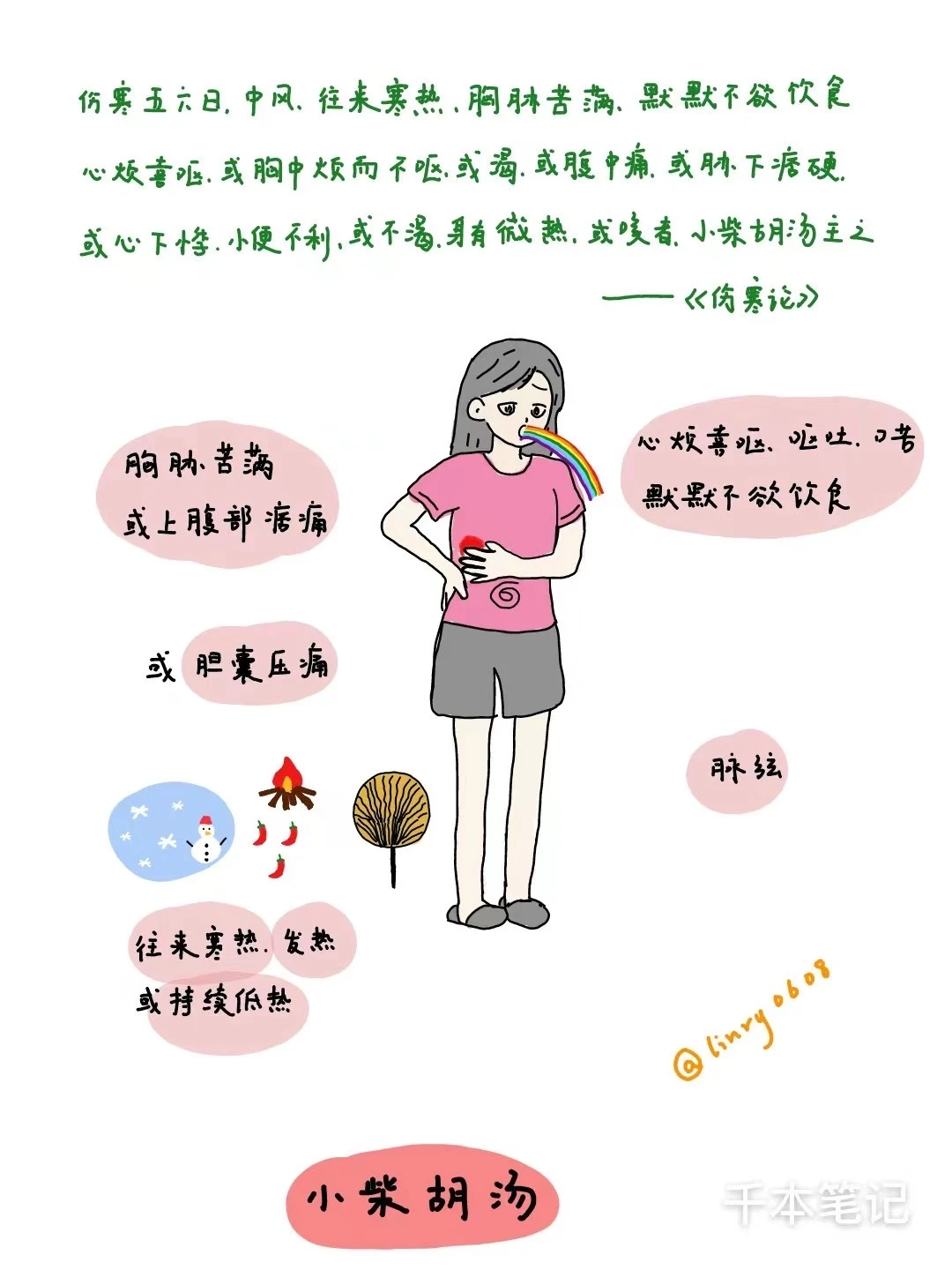 中医十大类方🌿【小柴胡汤】