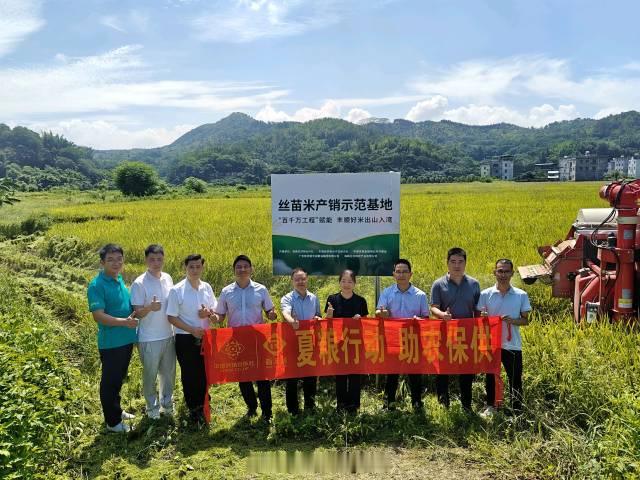 【海珠供销牵线丰顺丝苗米“出山入湾”】近日，“‘百千万工程’赋能 丰顺...