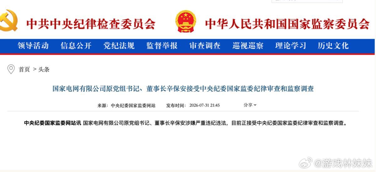 国家电网原党组书记、董事长辛保安涉嫌严重违纪违法，正式接受审查调查。...