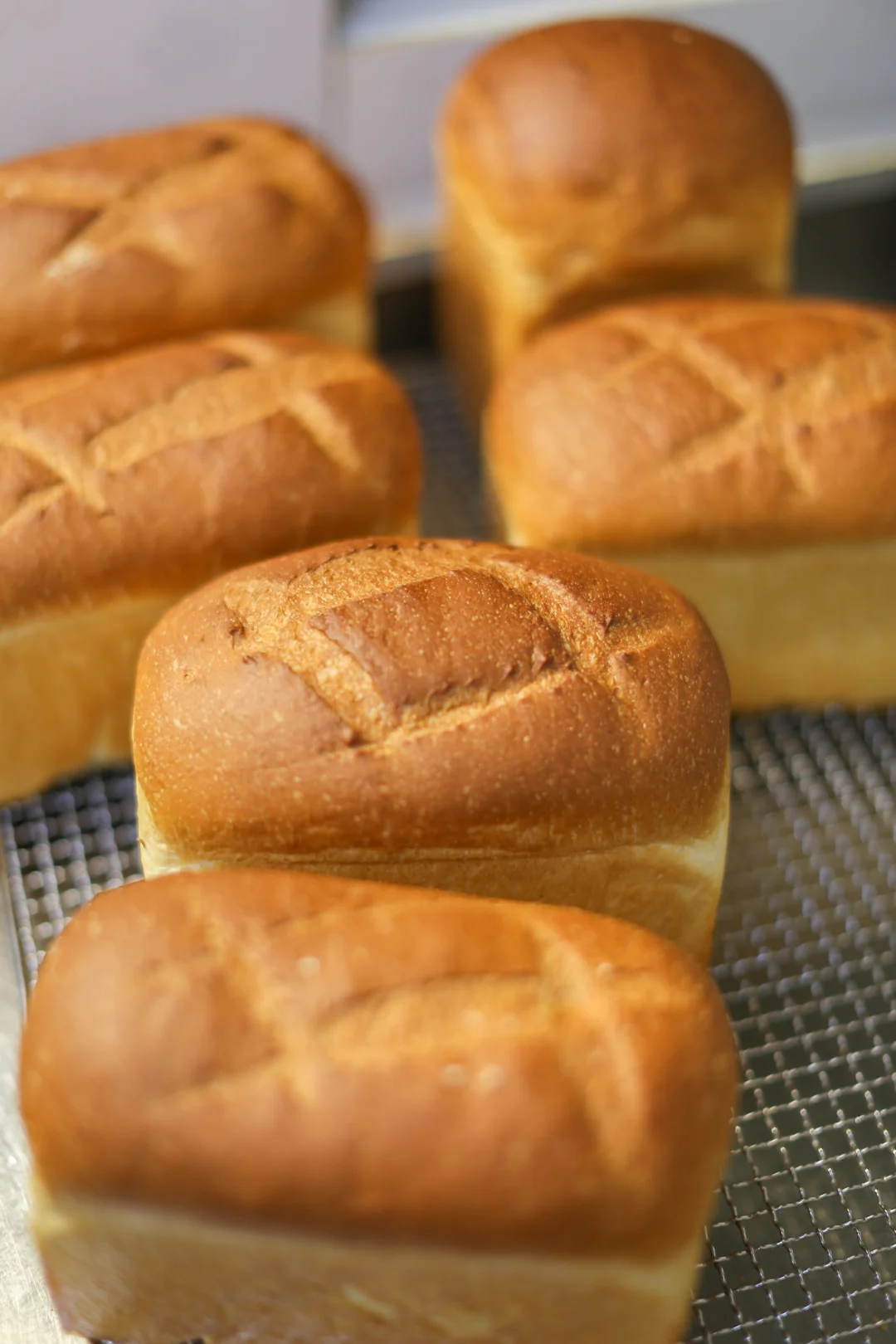 直接法做鲜奶红豆吐司｜香甜松软、奶味十足