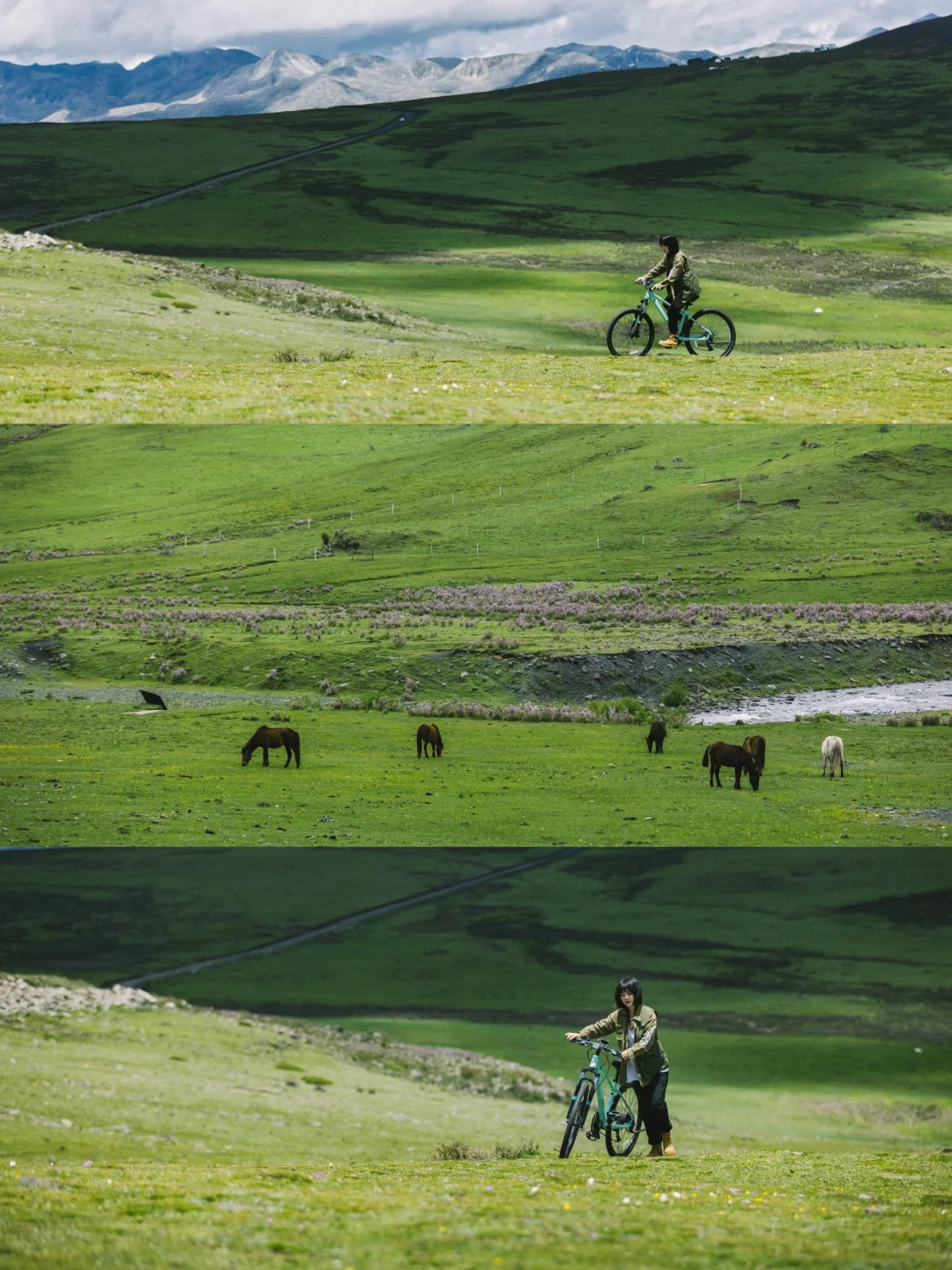 趁年轻，不能骑马就骑行吧，一样驰骋草原