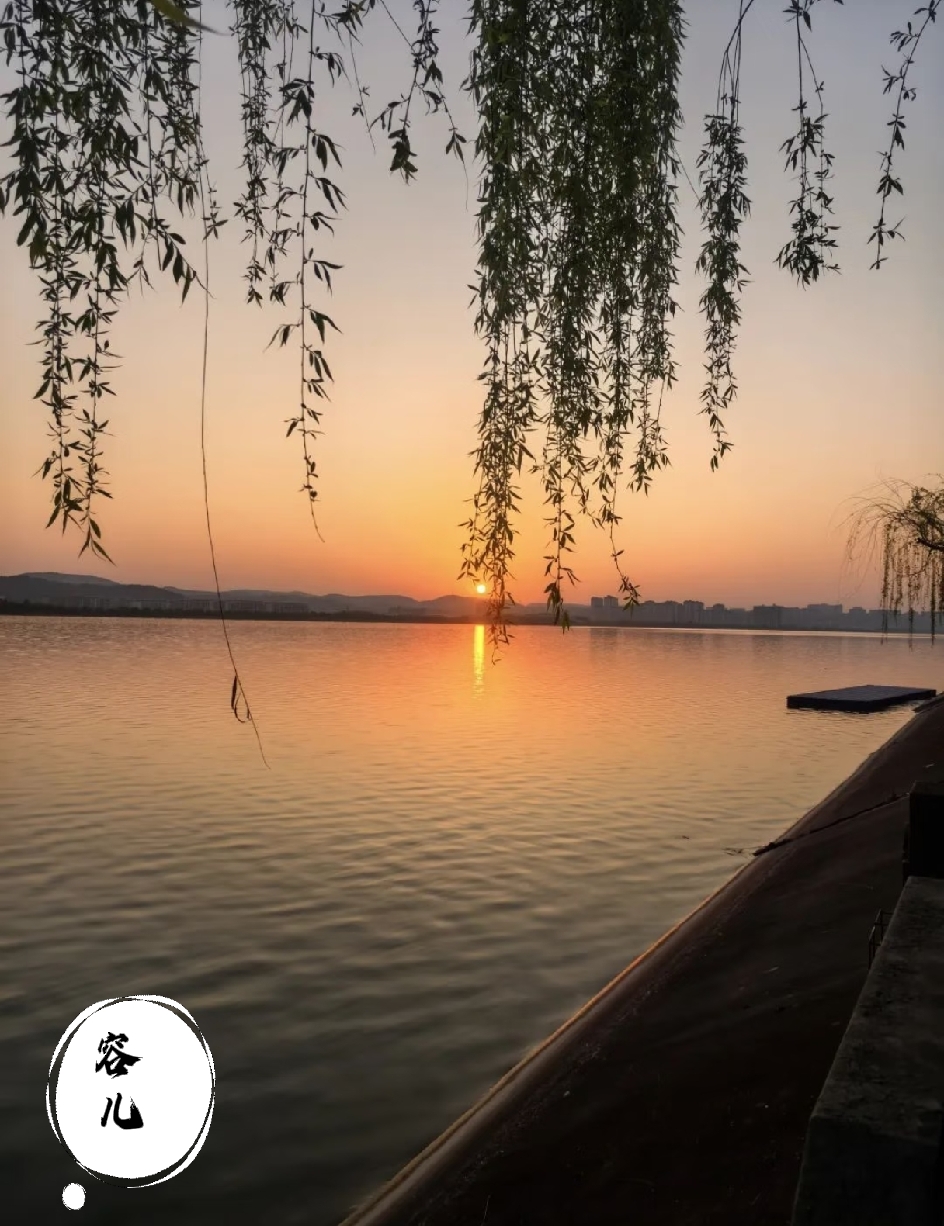 很扎心的一段话：
1、烂泥烂的好好的，
你非得把他扶上墙。

2、咸鱼躺的好好的
