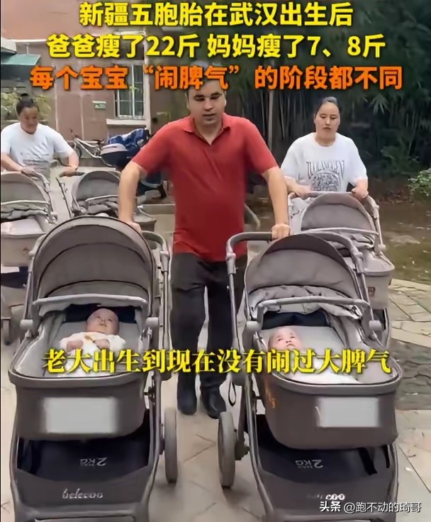新疆五胞胎养7个月，爸爸暴瘦22斤，一天用30多片尿不湿？
今年2月，新疆24岁产妇迪丽在武汉大学中南医院诞下1男4女五胞胎，全球自然受孕概率仅六千万分之一。如今宝宝们7个月大，一个月要喝40罐奶粉，一天用30至40片尿不湿，喝完的奶粉罐已叠有8层高。带五个娃出门更不容易，需要两辆车和五辆童车，爸