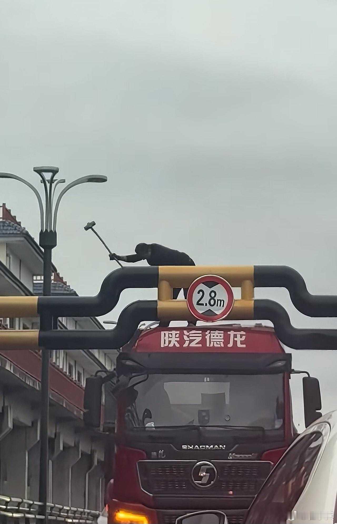闲鱼快成黄鱼了，成黄鱼后就可以翻身了[融化] ​​​