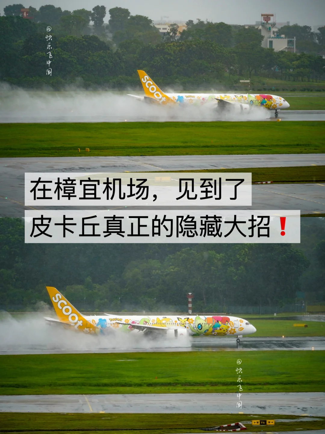 皮卡丘真正的隐藏大招❗️在樟宜机场见到了
