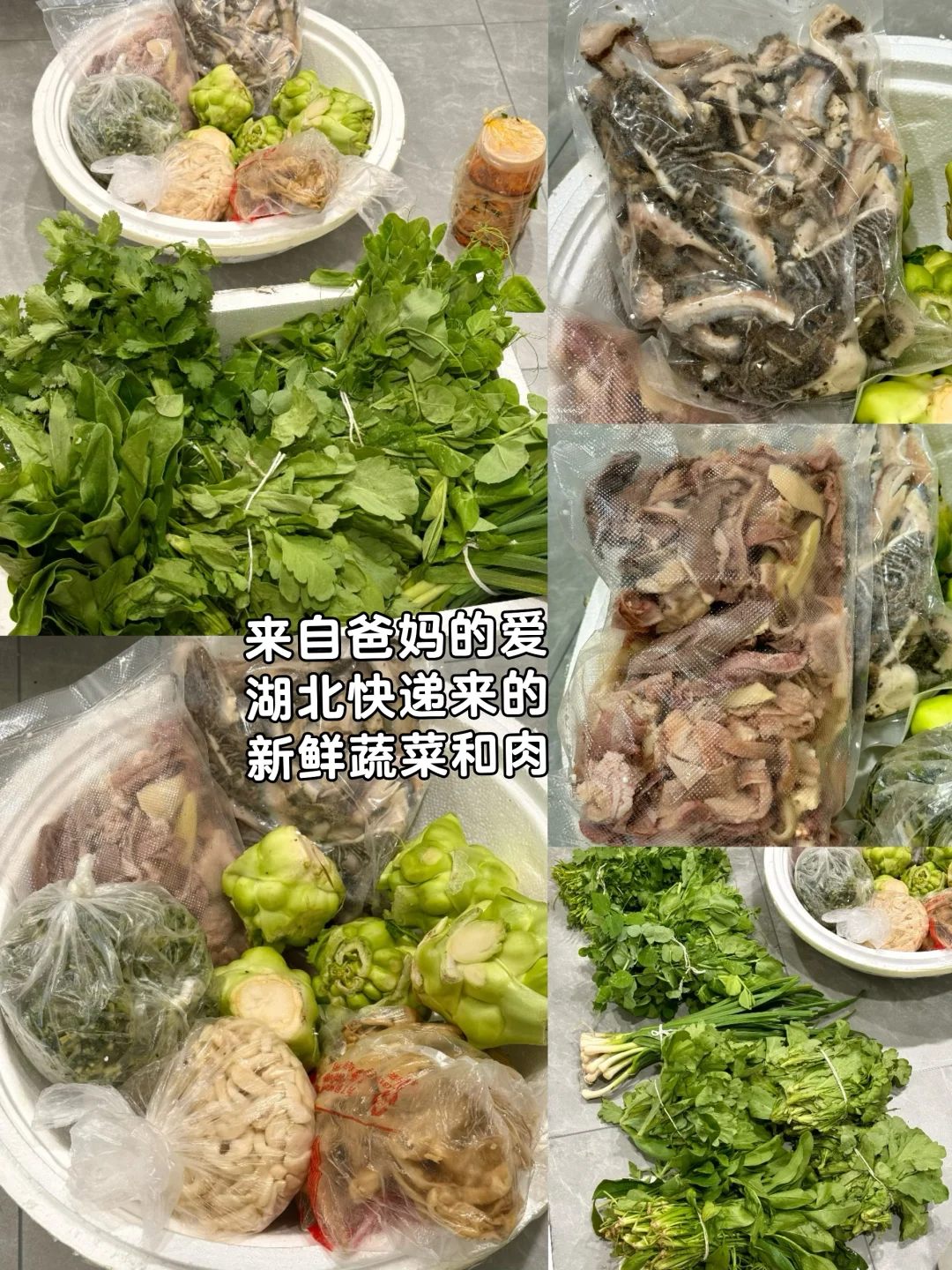 爸妈湖北快递来的第二波蔬菜和肉一点没坏哦