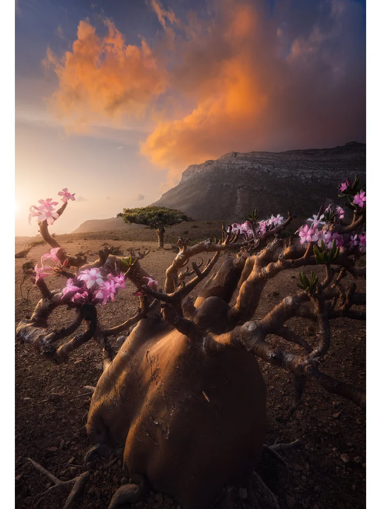 【摄影审美提升】-Jimmy He作品解析解析