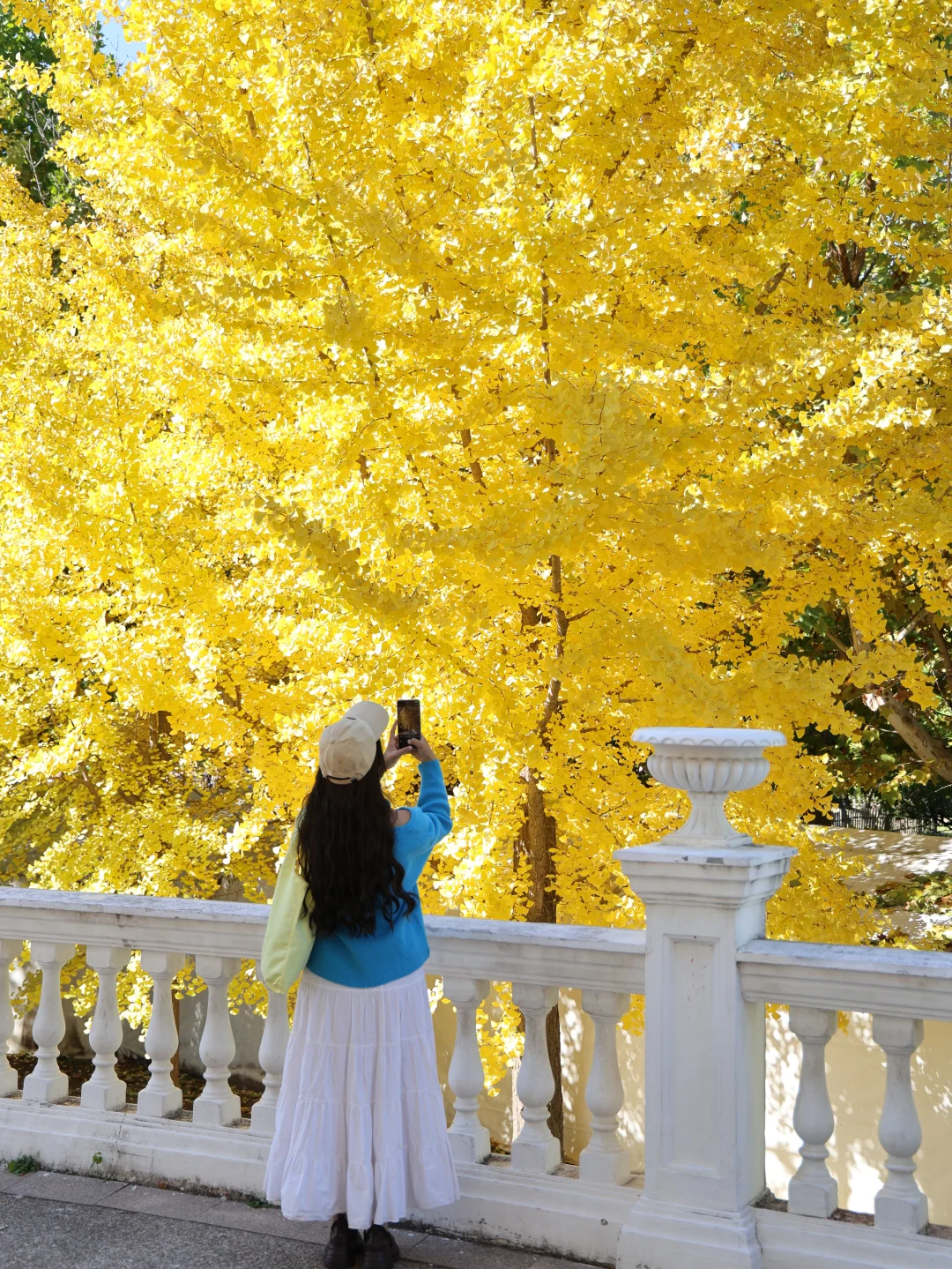 11.2朝阳公园的秋天杀疯了！附拍照地图