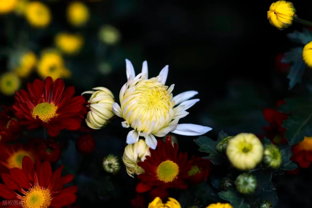 父债子还的担当，一场人心与善意的相遇