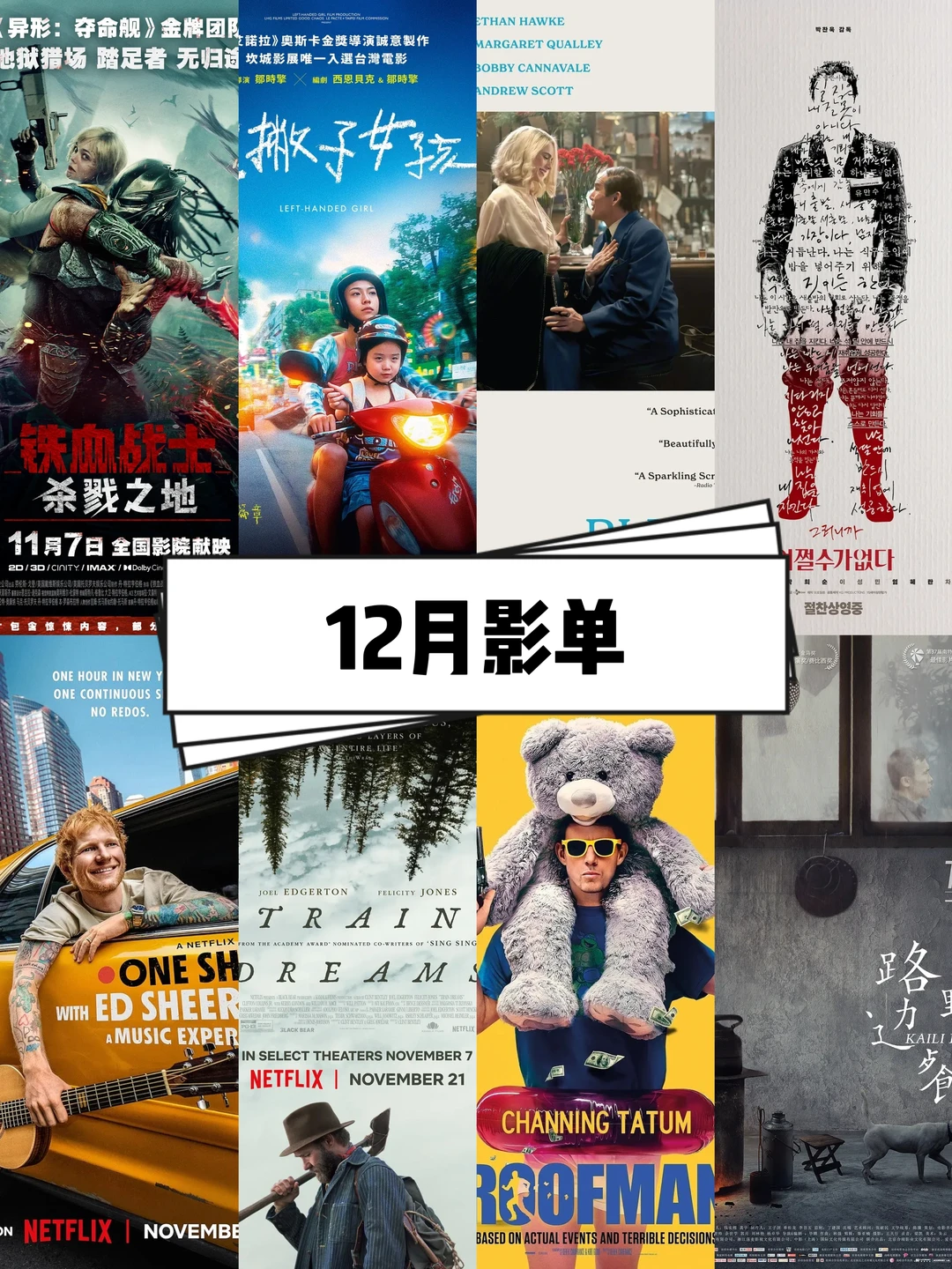 🎬跟我一起看电影：2025年12月影单👀