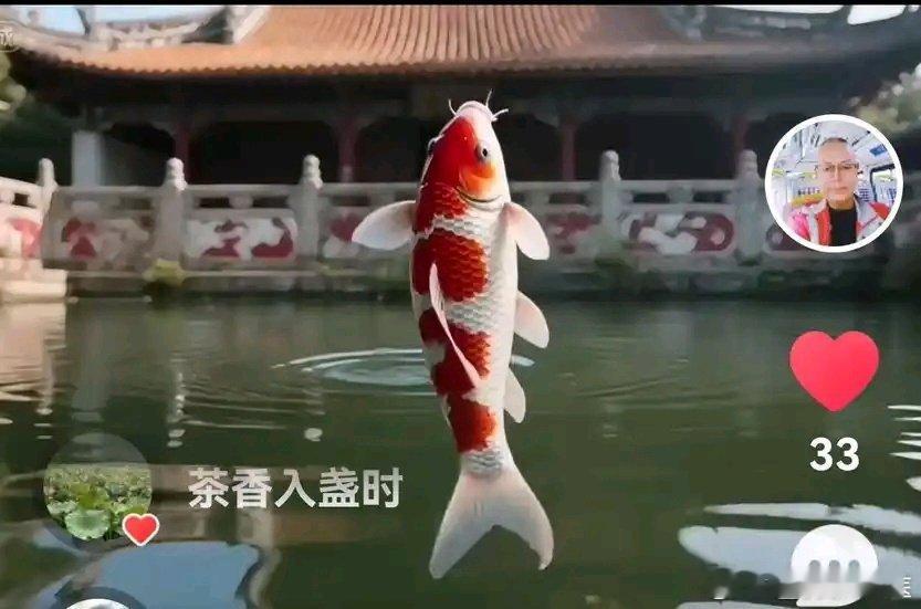 【我被天定了！】 宁波有江东，有三条江交会三江口，而我正好住在江东灵桥边（出生在浙江海盐百步潜龙偃附近），2026年5月17日早上当我从网上得知我家附近还有一条潜龙巷和潜龙街时，我马上步行去...（分享自 ​