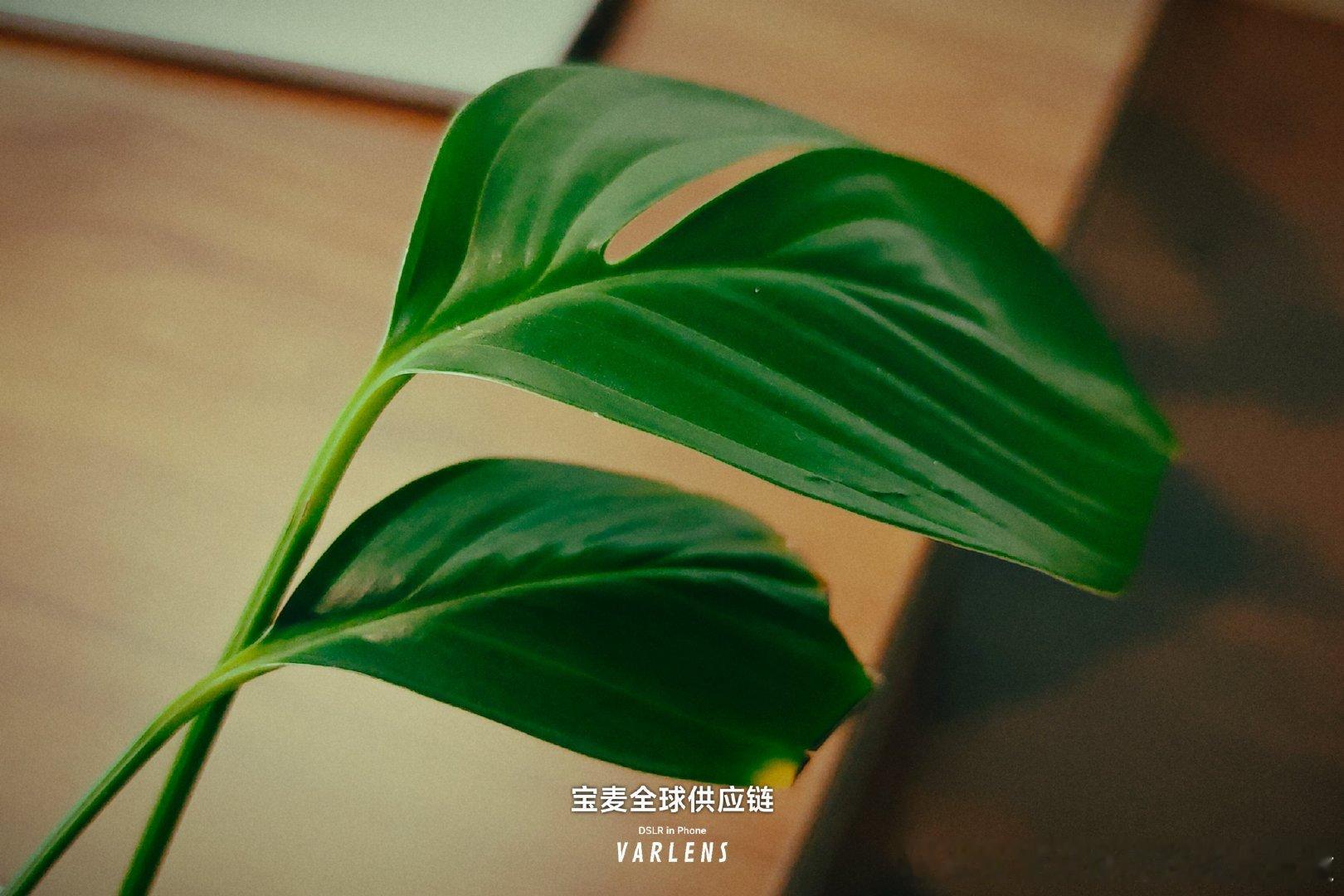 方向对了，
路就不怕远。
坚持做难而正确的事，
才能走得更远。

——雷军 ​