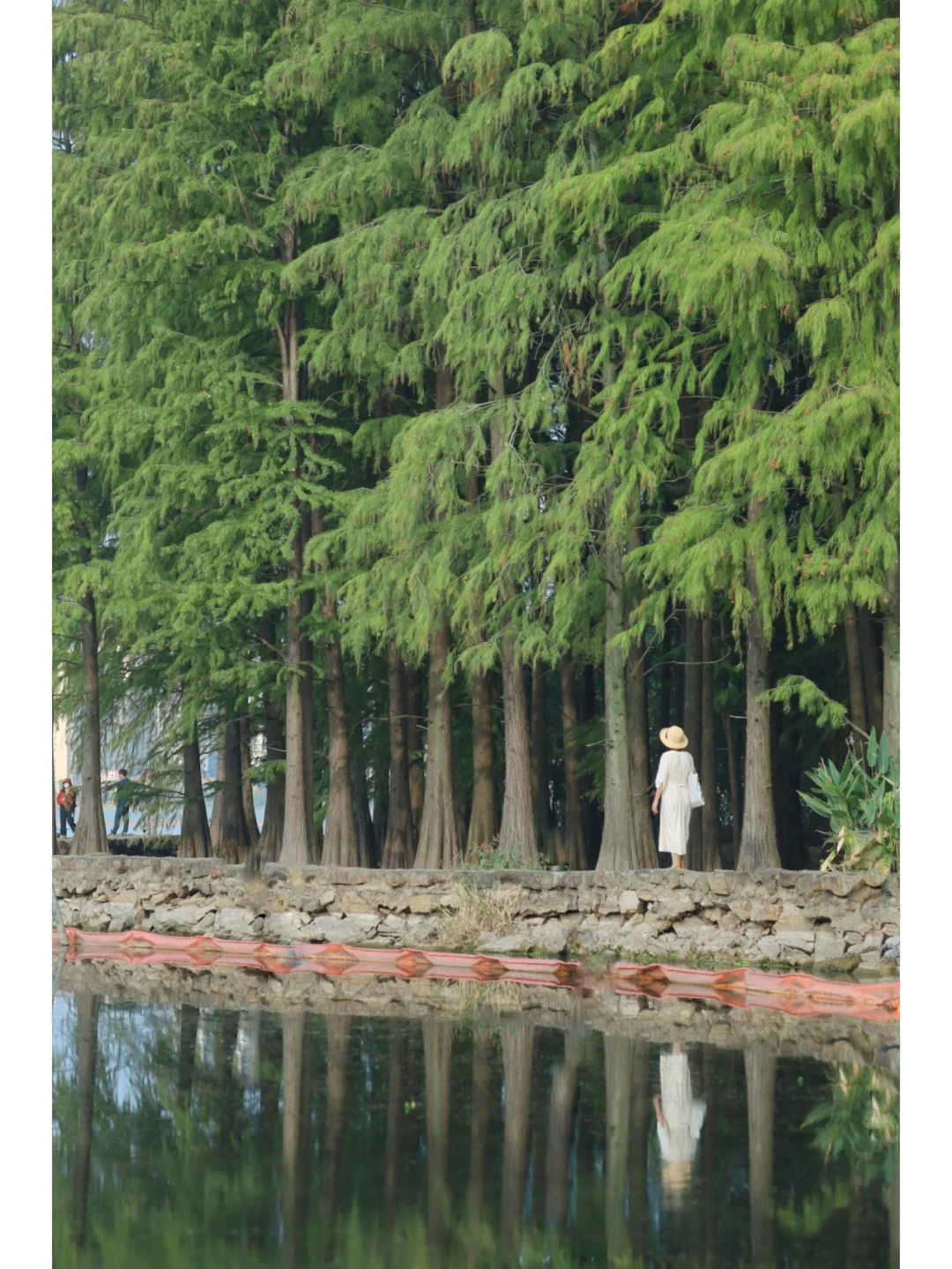 封神❗️武汉绿野仙踪秘境，绝美赏秋地别错