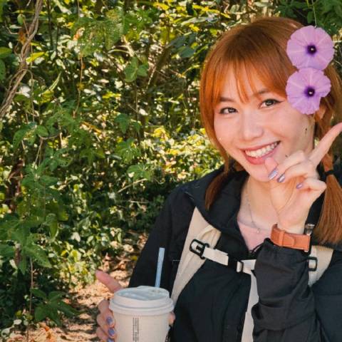 就是你的维西