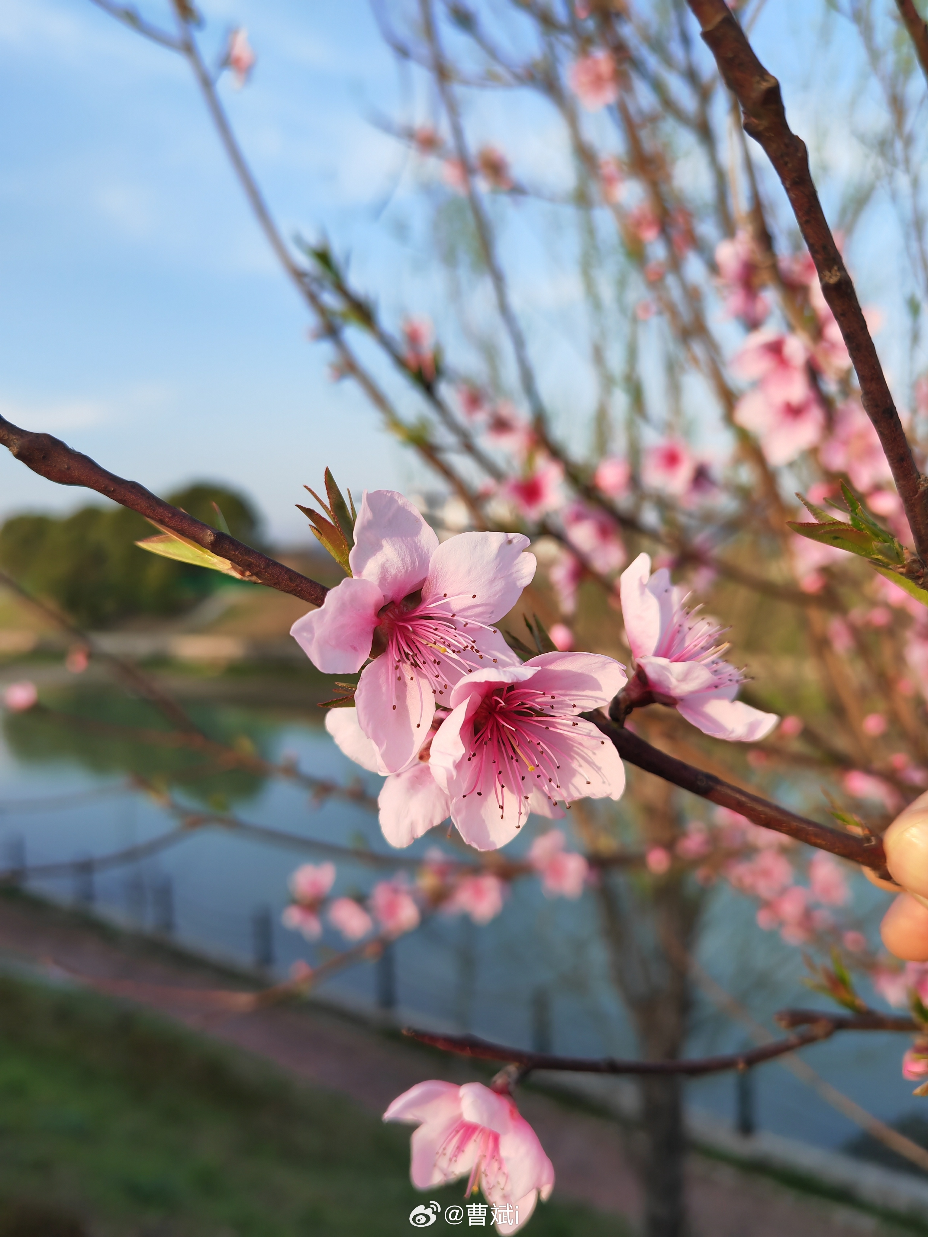 你就会莫名其妙顺起来🌞 ​​​