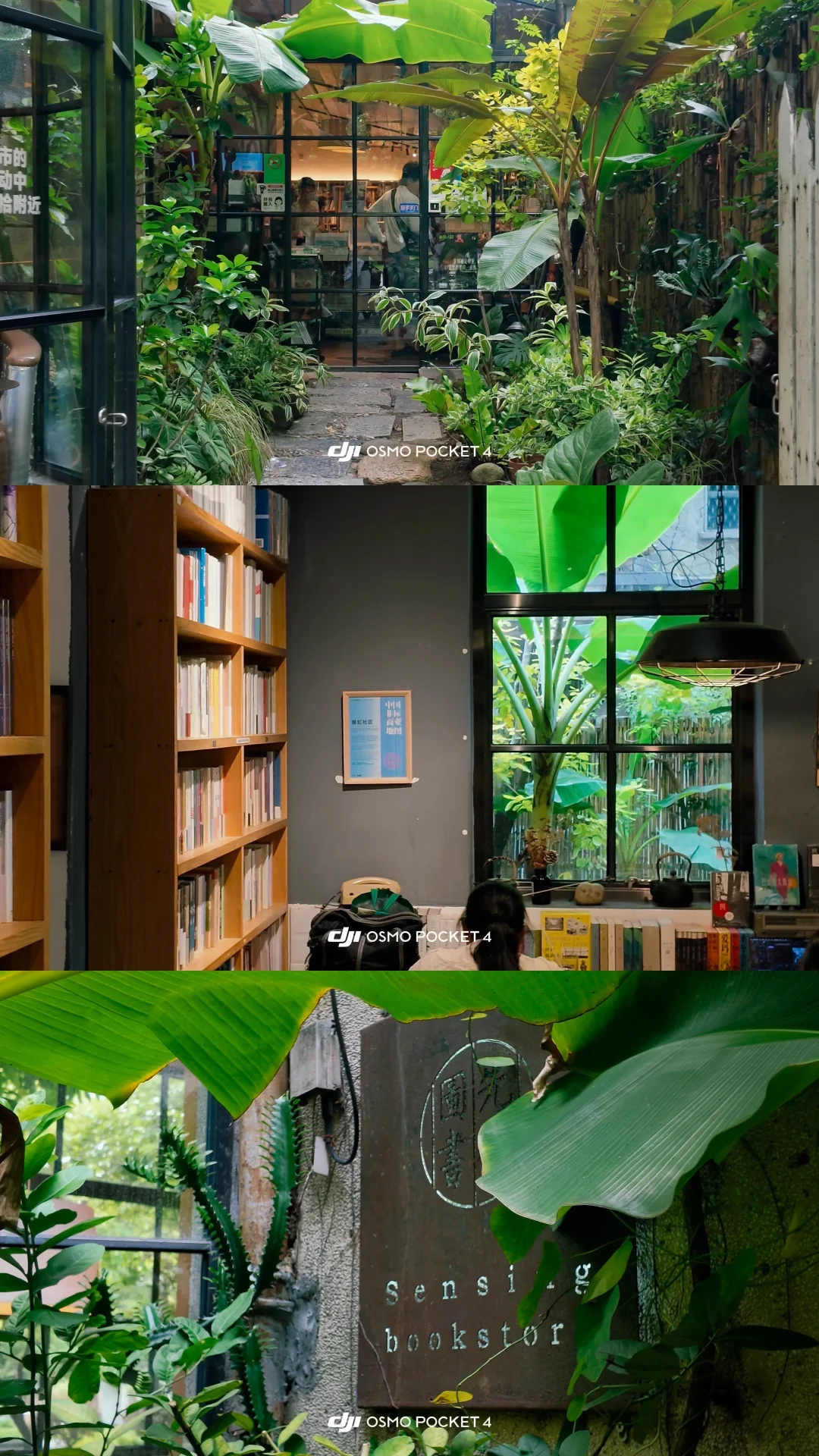 这是一家绿野仙踪的书店🍃