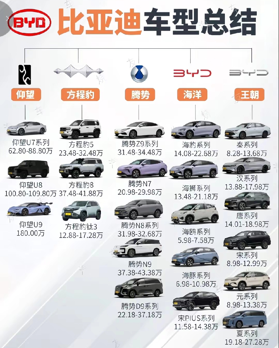 比亚迪车型总结

比亚迪分为王朝、海洋、腾势、方程豹、仰望五大产品矩阵。
王朝主打家用稳重，有秦、汉、宋、唐；
海洋定位年轻，海鸥海豚代步，海豹海狮主打轿跑SUV；
腾势主攻高端商务MPV；
方程豹做插混硬派越野；
仰望为百万级旗舰。车型分DM‑i插混、EV纯电，价格覆盖6万代步到百万豪华。