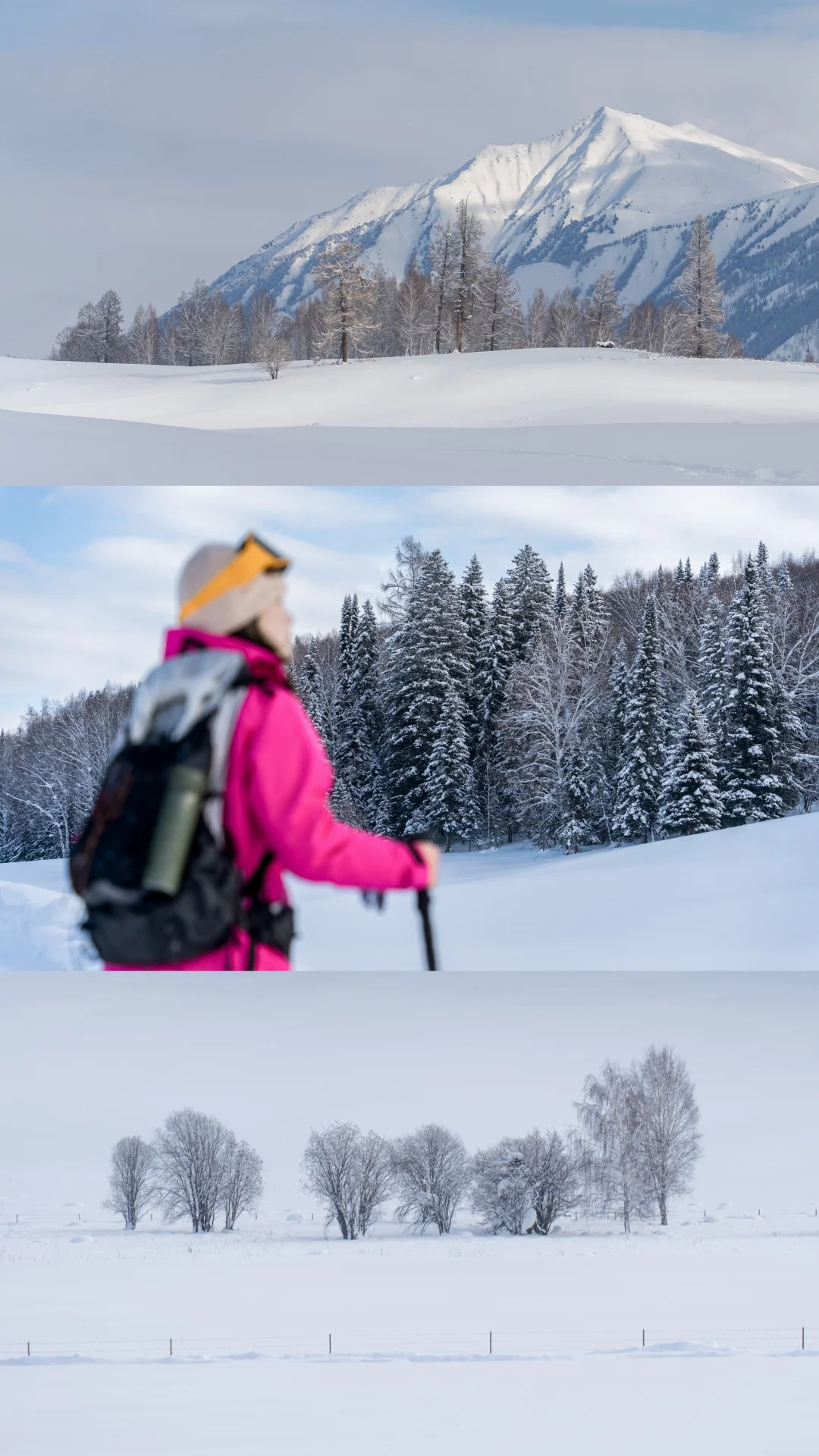 我来禾木，只办一件事❗❗❗❗❗