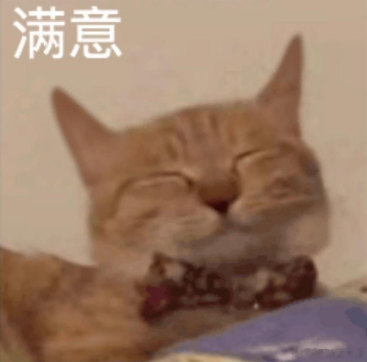 四人的成团一周年拍摄~OO捏起两根手指神秘地问我：你猜这是什么？我（摸下巴）：你不会想说这是你和L之间无形的线吧？O:恭喜你答对了！然后下一秒他果然在休息室角落里找到了睡着的L同学！转头某某正在和某某某一起选某某某的单人照片~某某咪咪咪得意地把镜头转向屏幕给我看，我没有及时出声，立刻被追问：啧，怎么没有给到应有的反应？我（连忙）：哇哦！不愧是全宇宙最帅的某某某！太好看了吧！未修图都竟然长这样！Gorgeous！Stunning!Breathtaking!Out of this world！某某遂满意。我立马向某某某告状：你看！你们家某某压榨我定向提供情绪价值！某某某：没有没有，不会啦！我趁机贴住姐姐：你看他们！姐姐：我只看你。 啊~今日份甜度get！意满离！