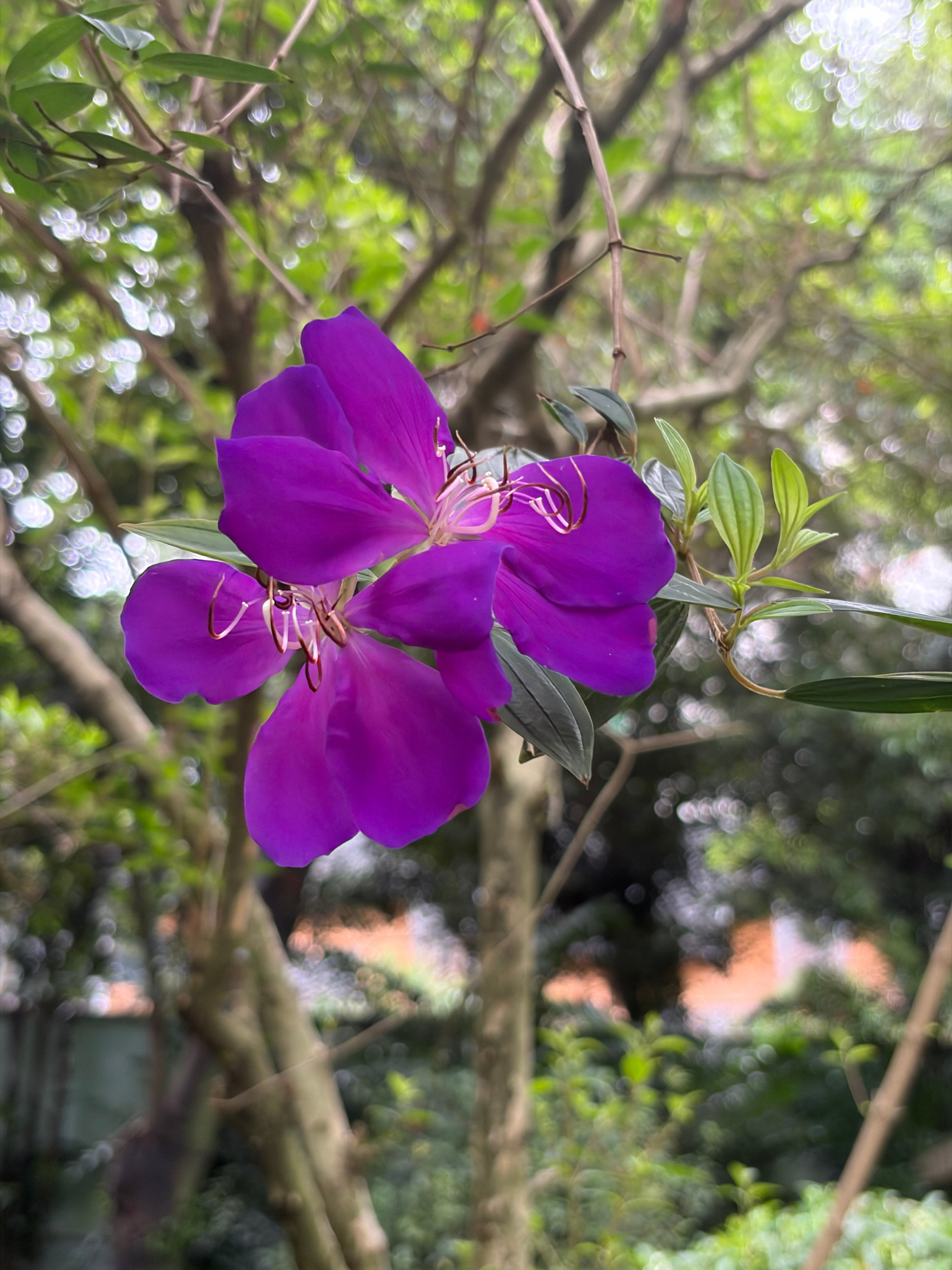 坐标广州。黄花岗公园。这是这一个多月来第三次来广州，也是自己成人后单独...