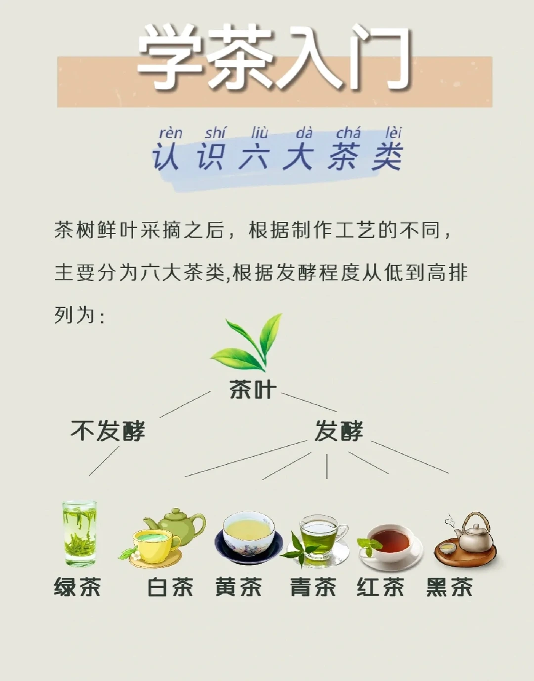 全面了解我国六大茶分类及各自代表茶