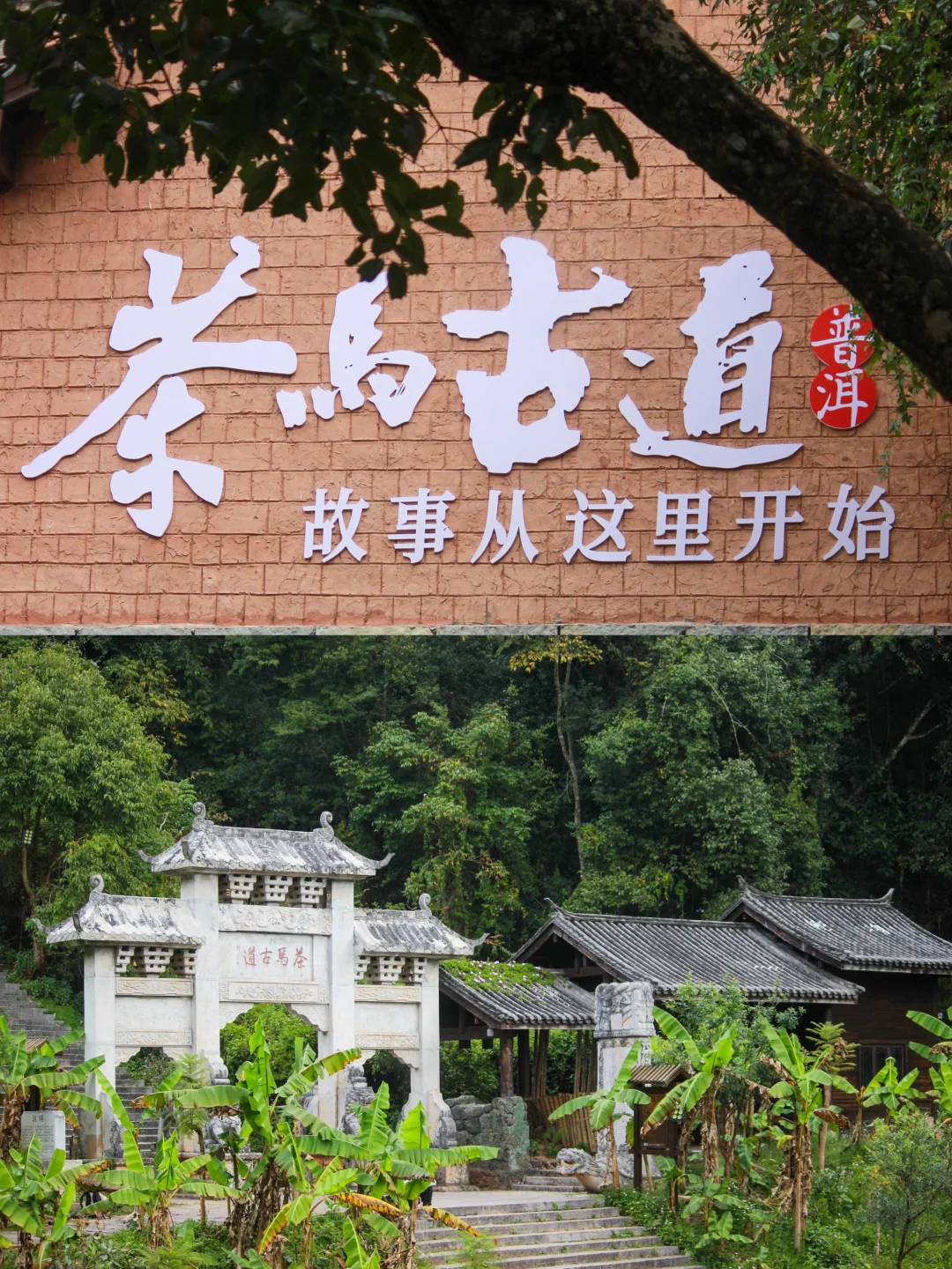 普洱 | 茶马古道遗址公园✨藏在时光里的宝藏