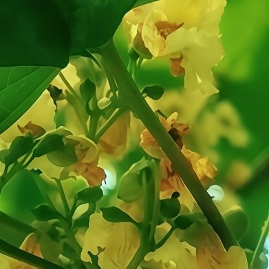 [超话] 阳光驱散阴霾，予世界暖意；信用筑牢人心，稳世事根基。二者皆为...