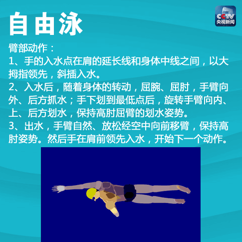 【想学游泳快转走！一次教你4种游泳姿势！】戳图，蛙泳、自由泳、仰泳、蝶...