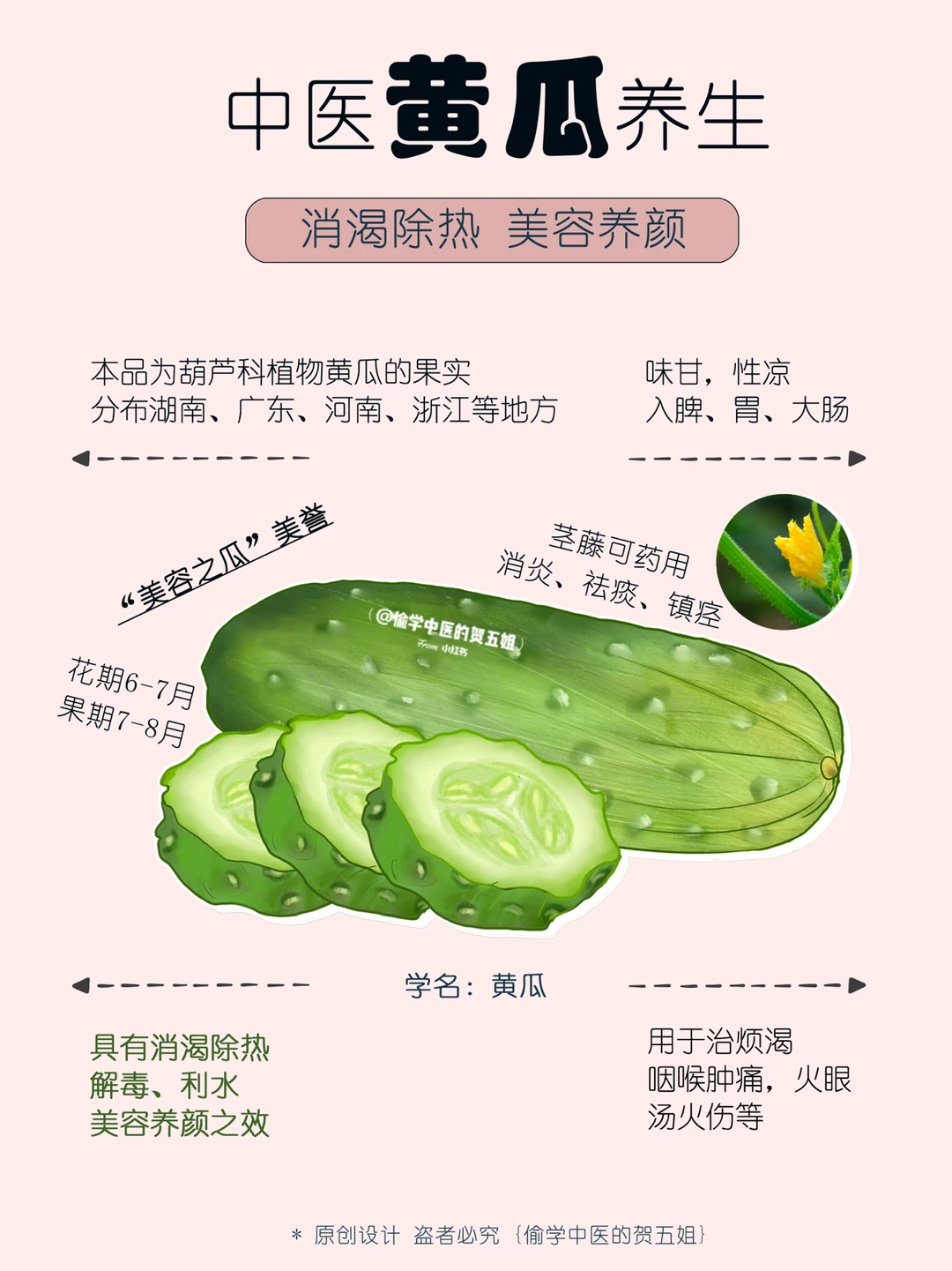 30养生课堂📝黄瓜·🥒消渴除热 美容养颜🔥