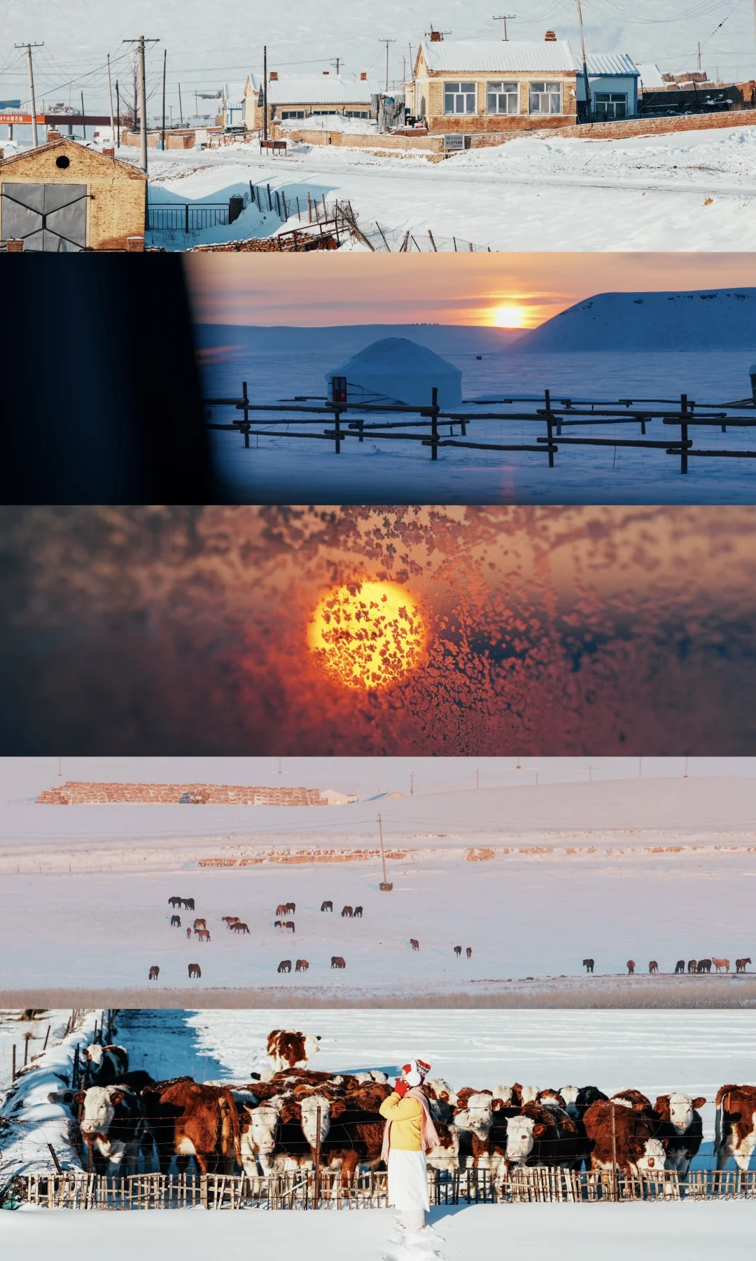 你失约的呼伦贝尔❄️我一个人来了