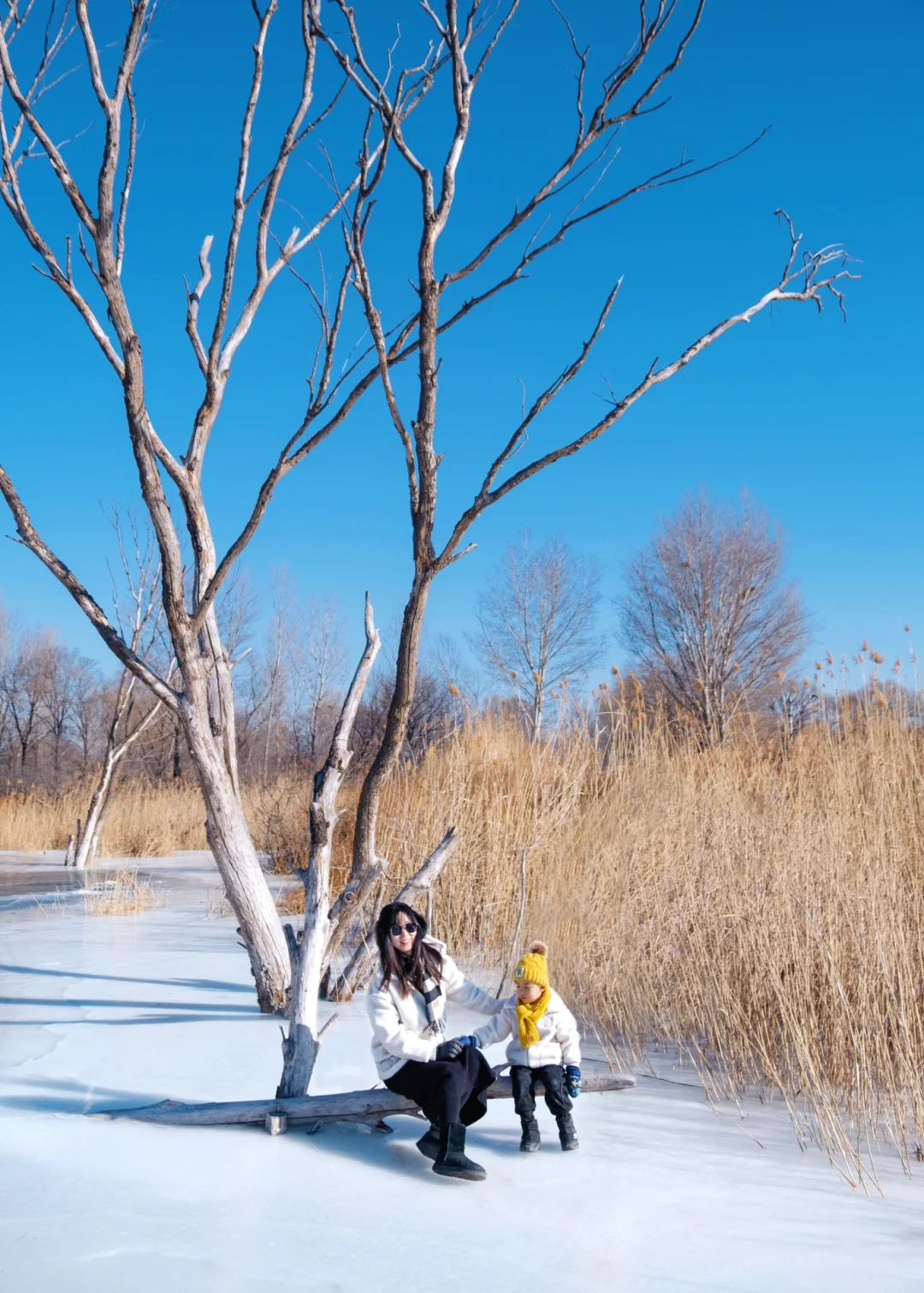 京郊惊现雪白牛奶冰‼️小众无人❄️享超大冰面