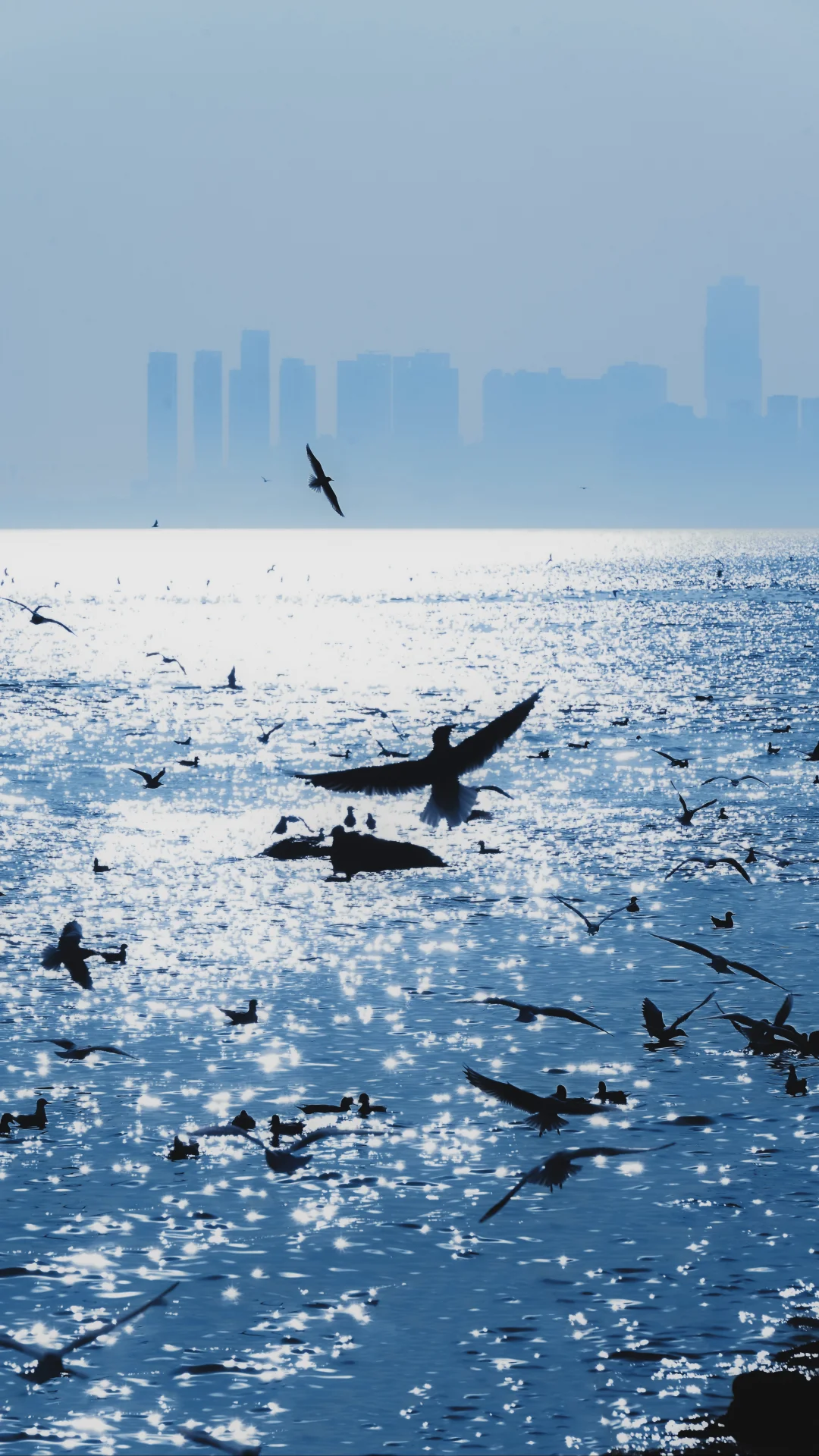 不管世界吹什么风，只想在海边吹吹风🌅