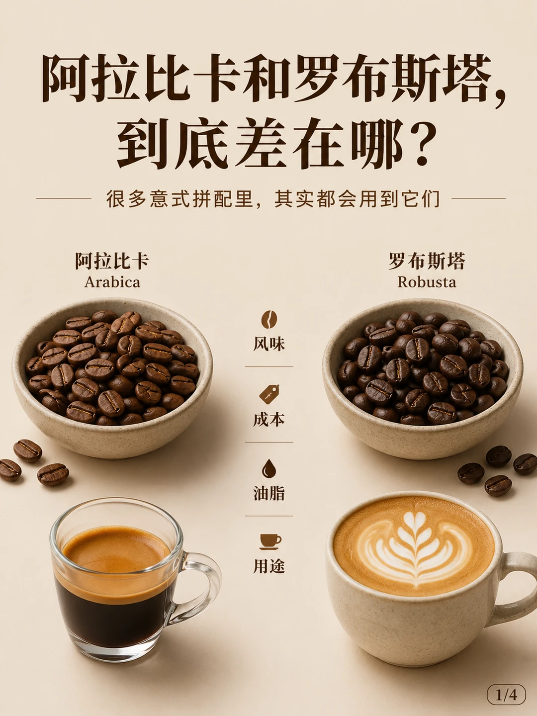 阿拉比卡和罗布斯塔，到底差在哪？