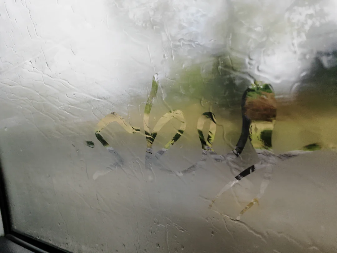 今天，平壤的秋雨来了