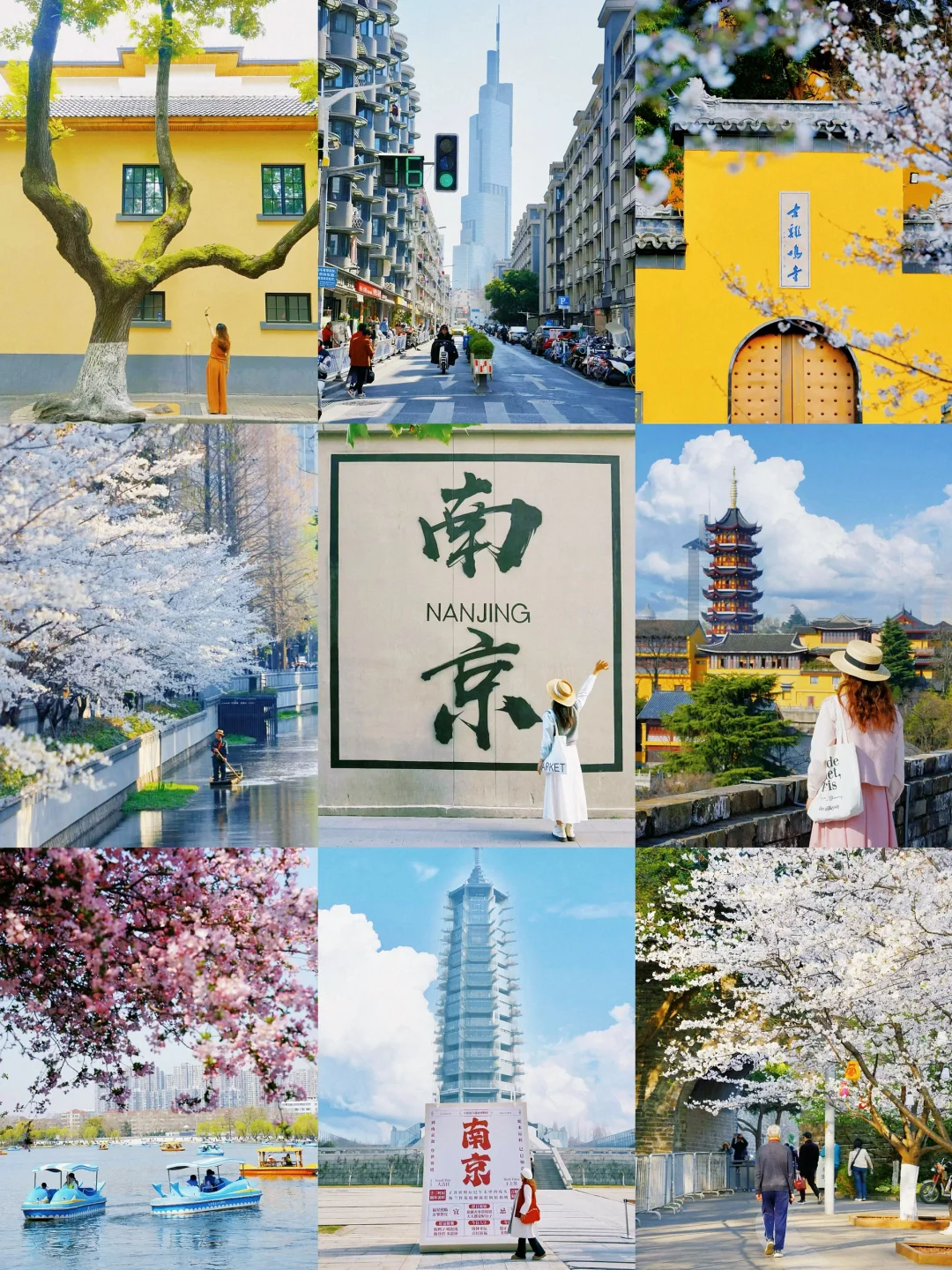 春天来南京🌸别错过赏花citywalk机位路线‼️