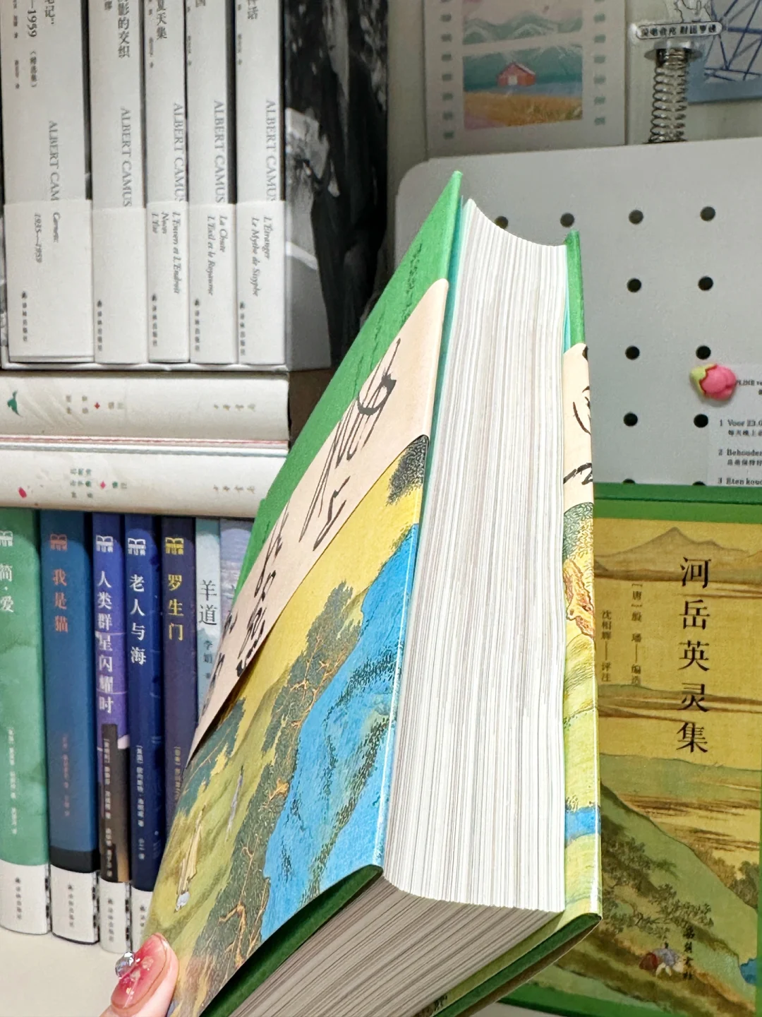 一眼沦陷🎆想要真正读懂唐诗，又怎能错过它