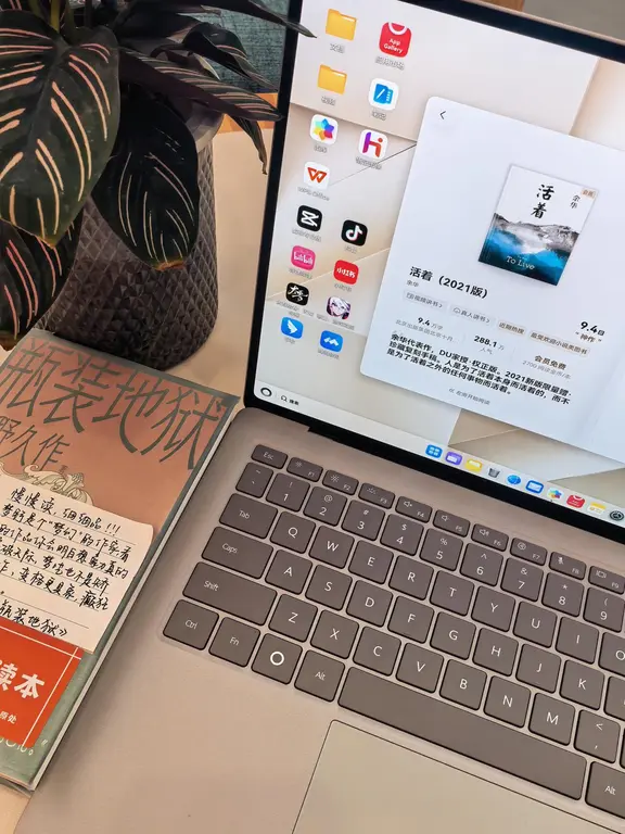 于书屋 邂逅798g的轻盈浪漫☕️