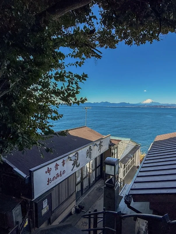 这才是镰仓最美的秘密，江之岛之旅攻略来了