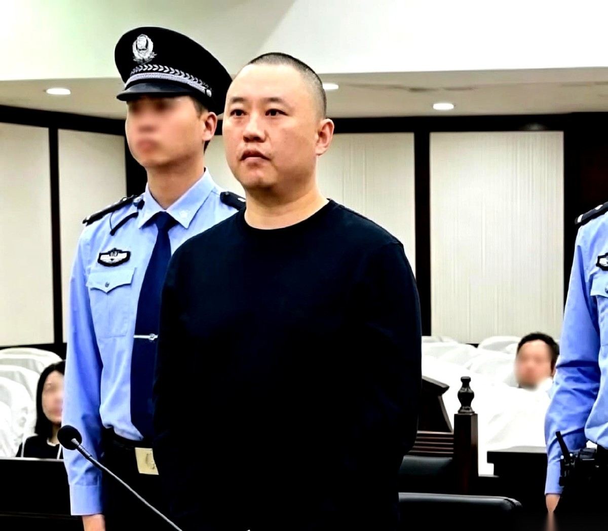 魏家犯罪集团的一审判决公布，领到死刑的名单上一共就三个人。
排在前两个的，是集团最高掌门人魏怀仁，以及抓着武装力量的亲外甥陈大卫，全是魏家自己人。偏偏第三个被判死刑的廖景芳，连魏家的族谱边都沾不上。
一个外聘的“打工人员”，怎么就和幕后大头目绑在同一张死刑判决书上了？
魏怀仁坐在幕后拍板决策，陈大卫