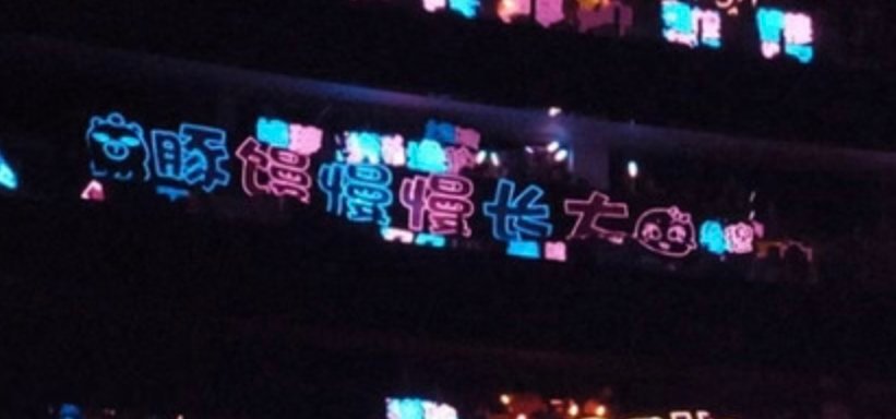 我看着这个哭的停不下来你们懂吗。 ​​​