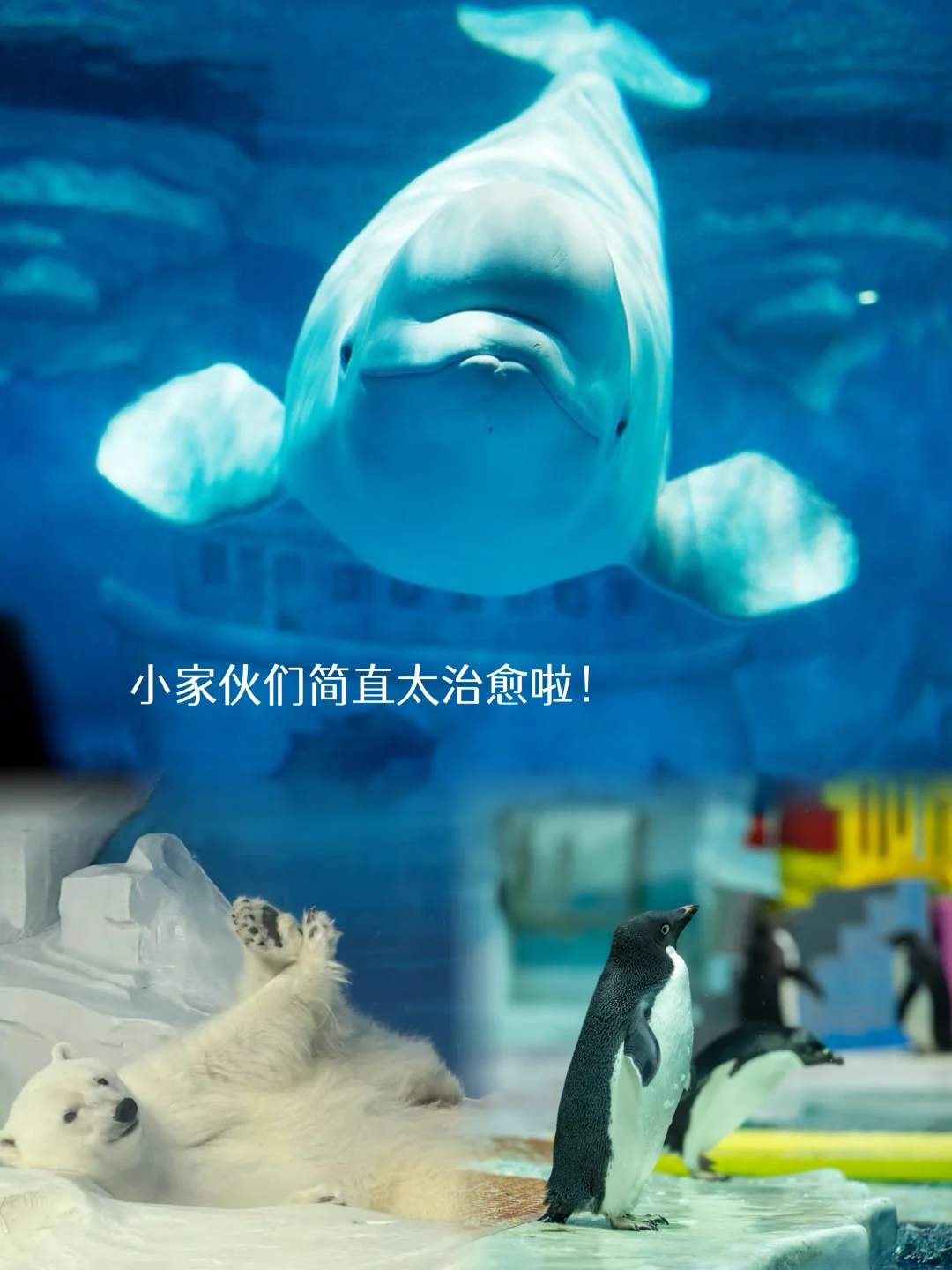 春天就是用来“浪费”的！闺蜜局&遛娃首选这里