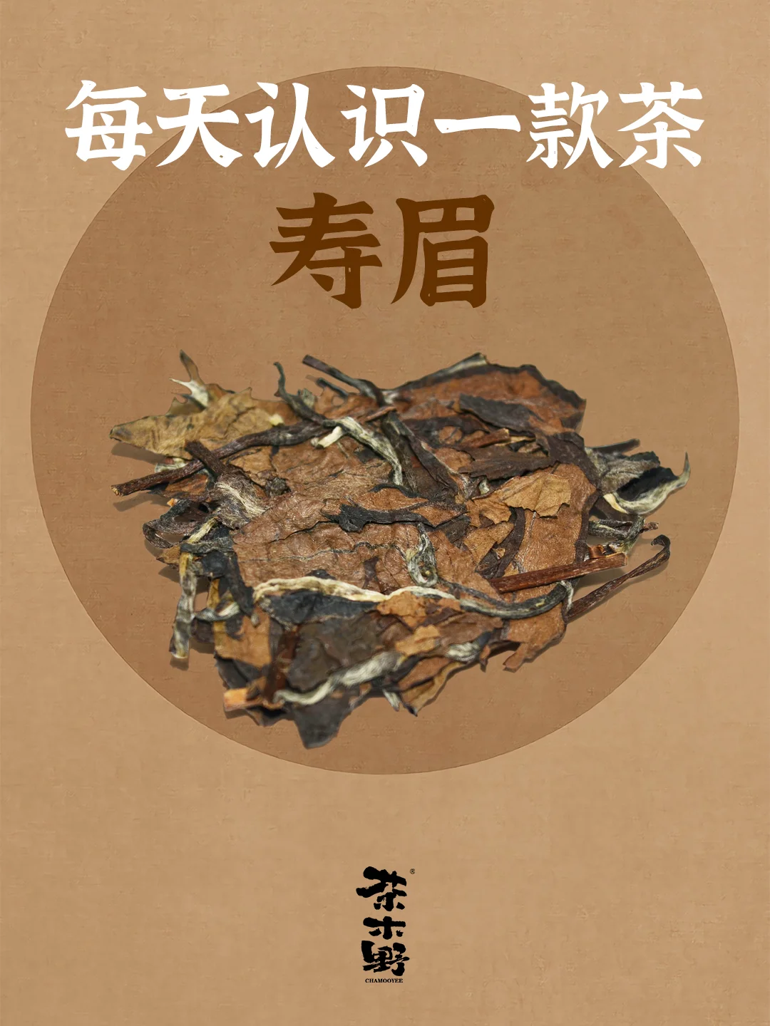 知识分享丨一分钟了解寿眉