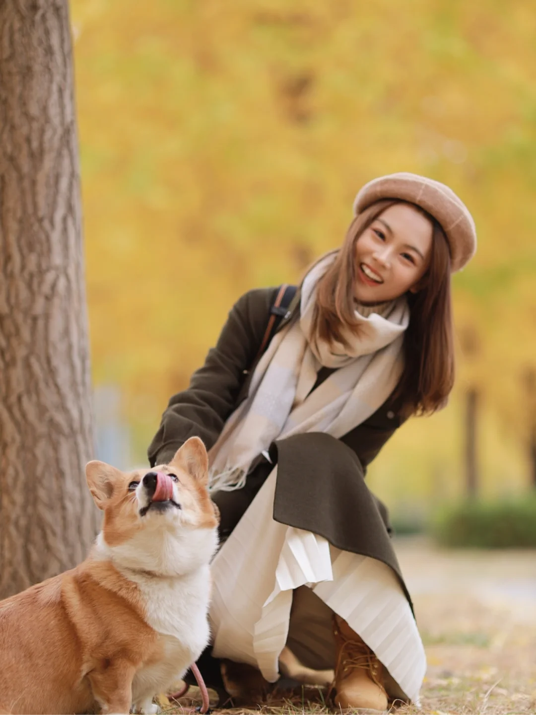 秋天太美好‼️北京8️⃣个小众赏银杏地｜可露营