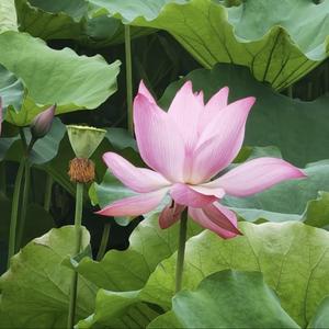 杨仪畅谈科技