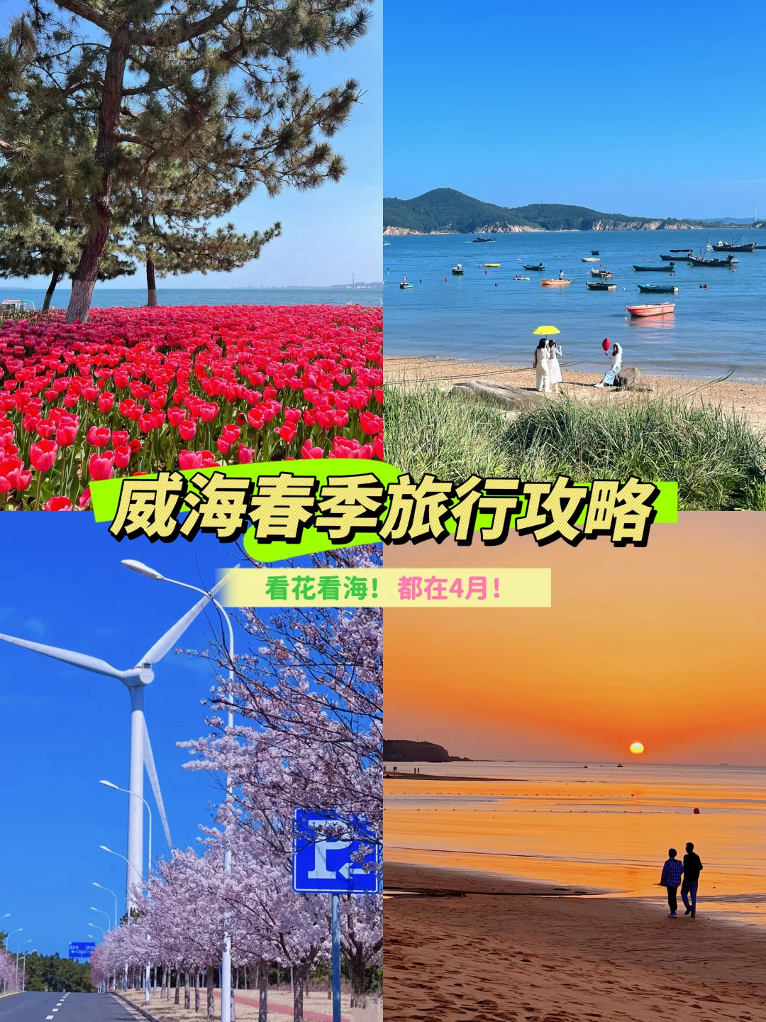 听劝！3月不要来威海！等4月再来看花海！