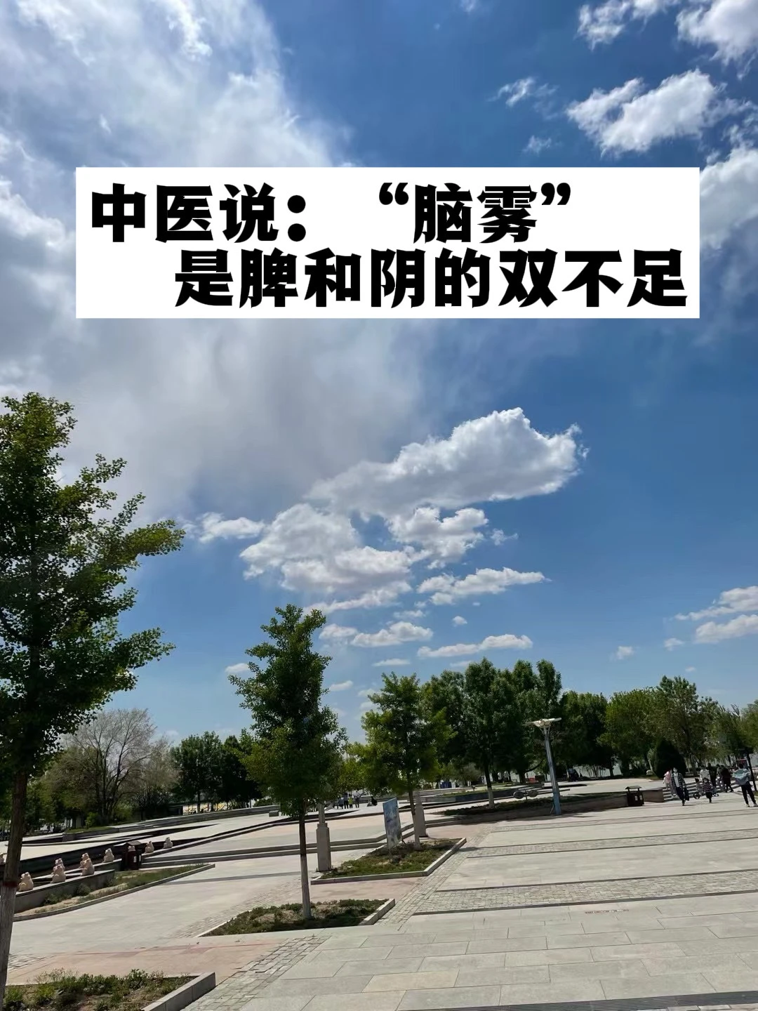 中医说：“脑雾”是脾和阴的双不足！