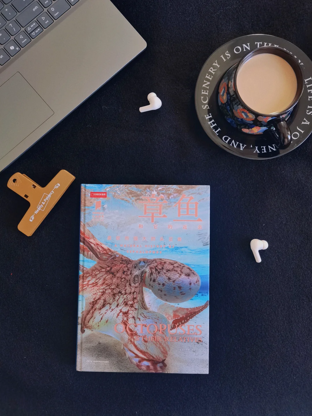 难怪上弦之五·玉壶这么难打……