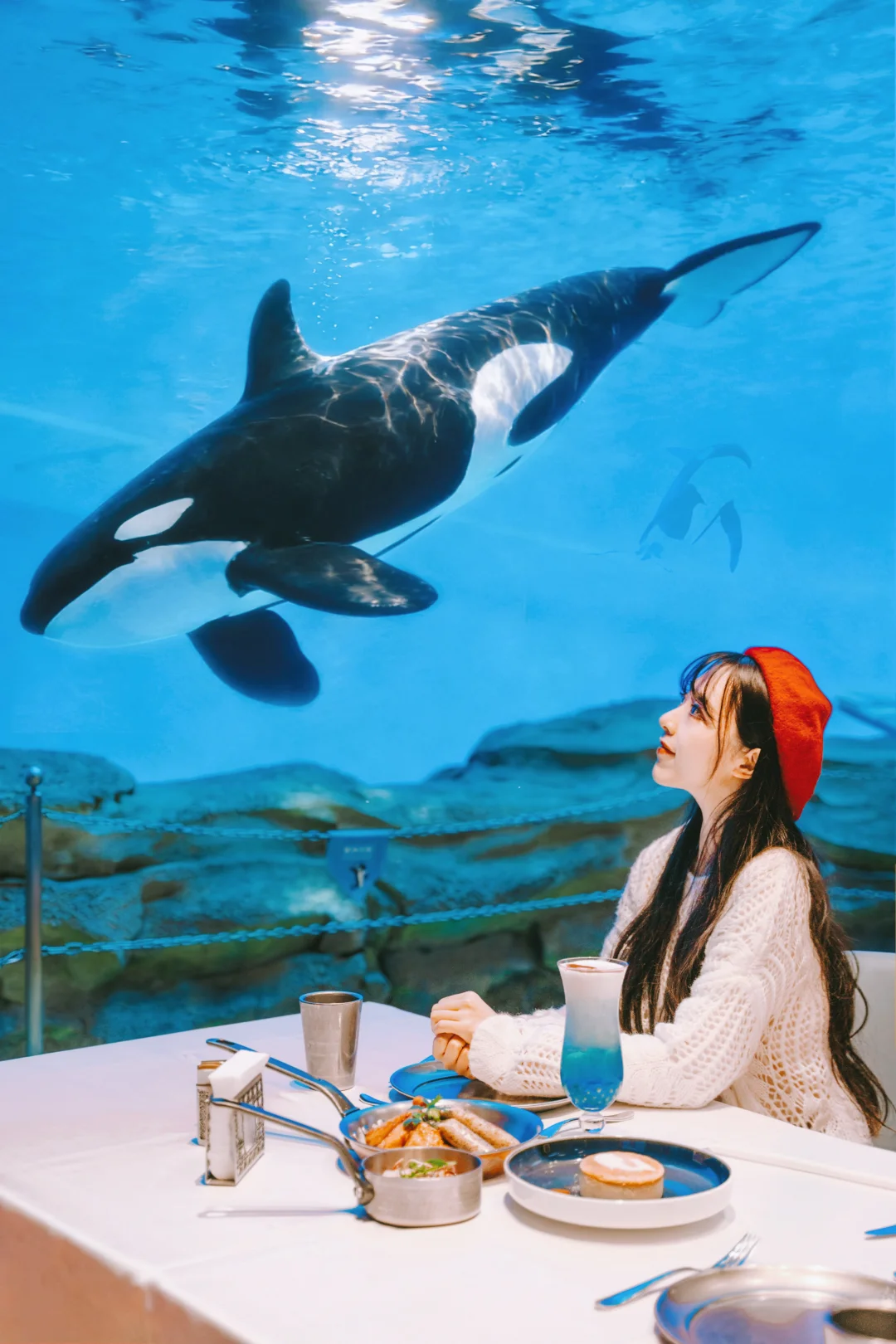 我很少用震撼形容一个乐园，直到我去了…