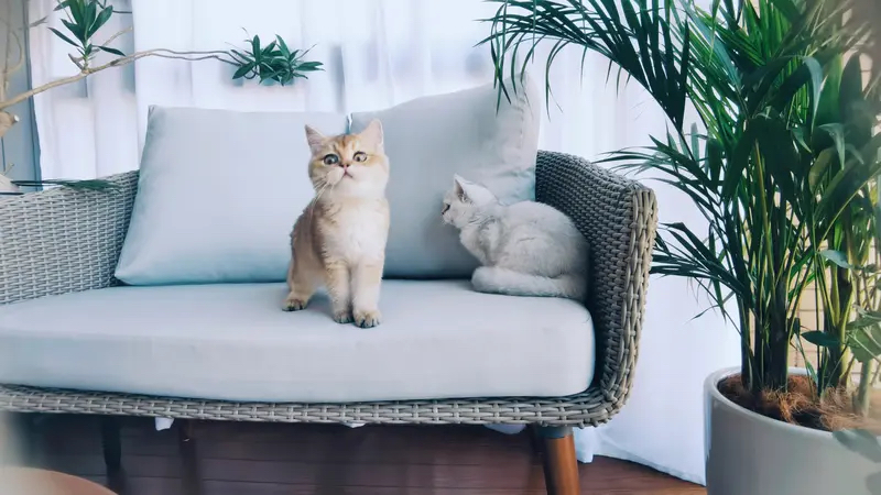 《 让Crush想逃的，从来不是你的喜欢》  在感情里，你是否也曾因为...