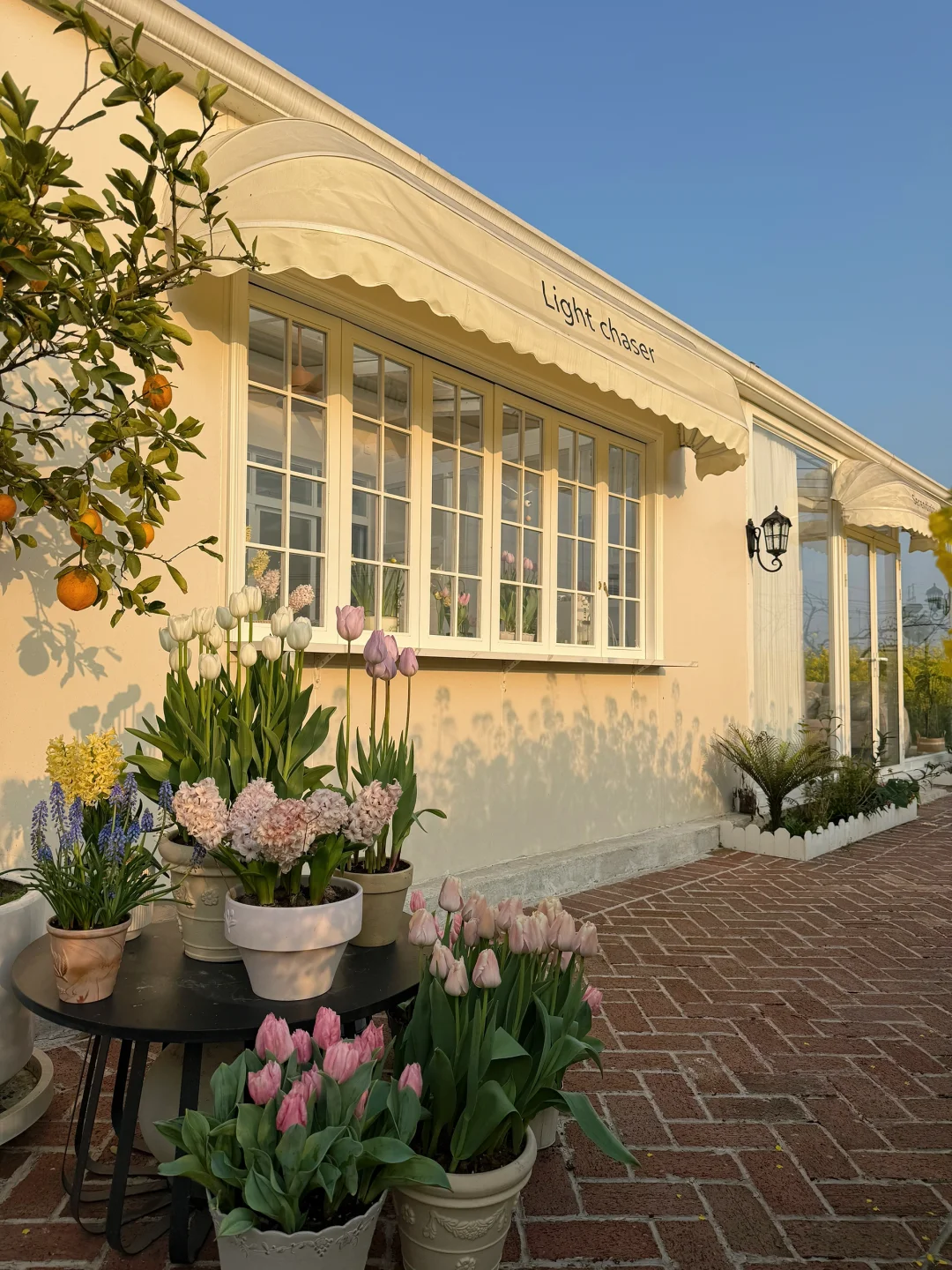 好像掉进油画里的农村阳光房✨